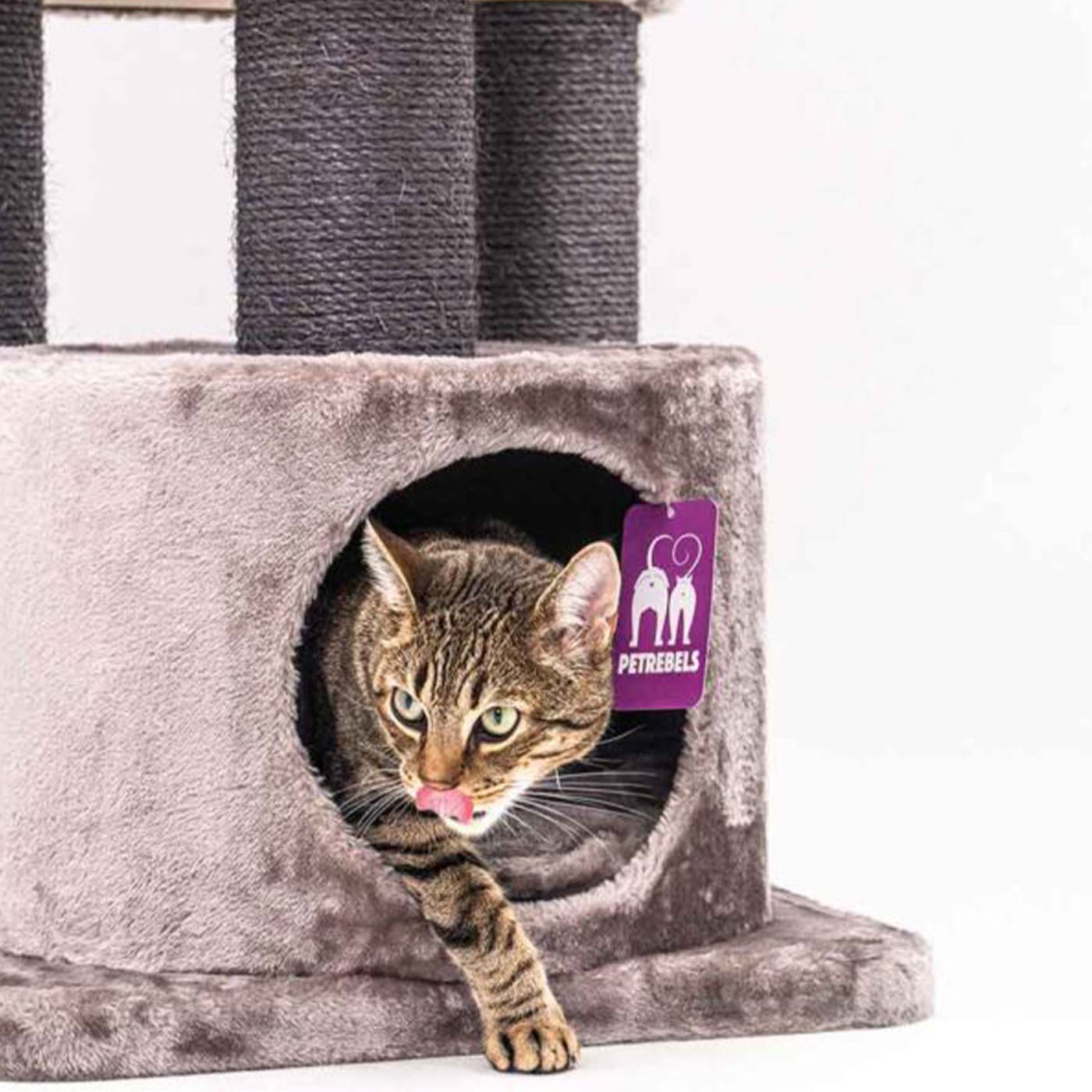 Kings & Queens Victoria 125cm Cat Tree - Premium Tall Cat Tower with Scratching Posts & Perches for Indoor Cats - Perfect for Play, Rest & Climbing in Home or Apartment