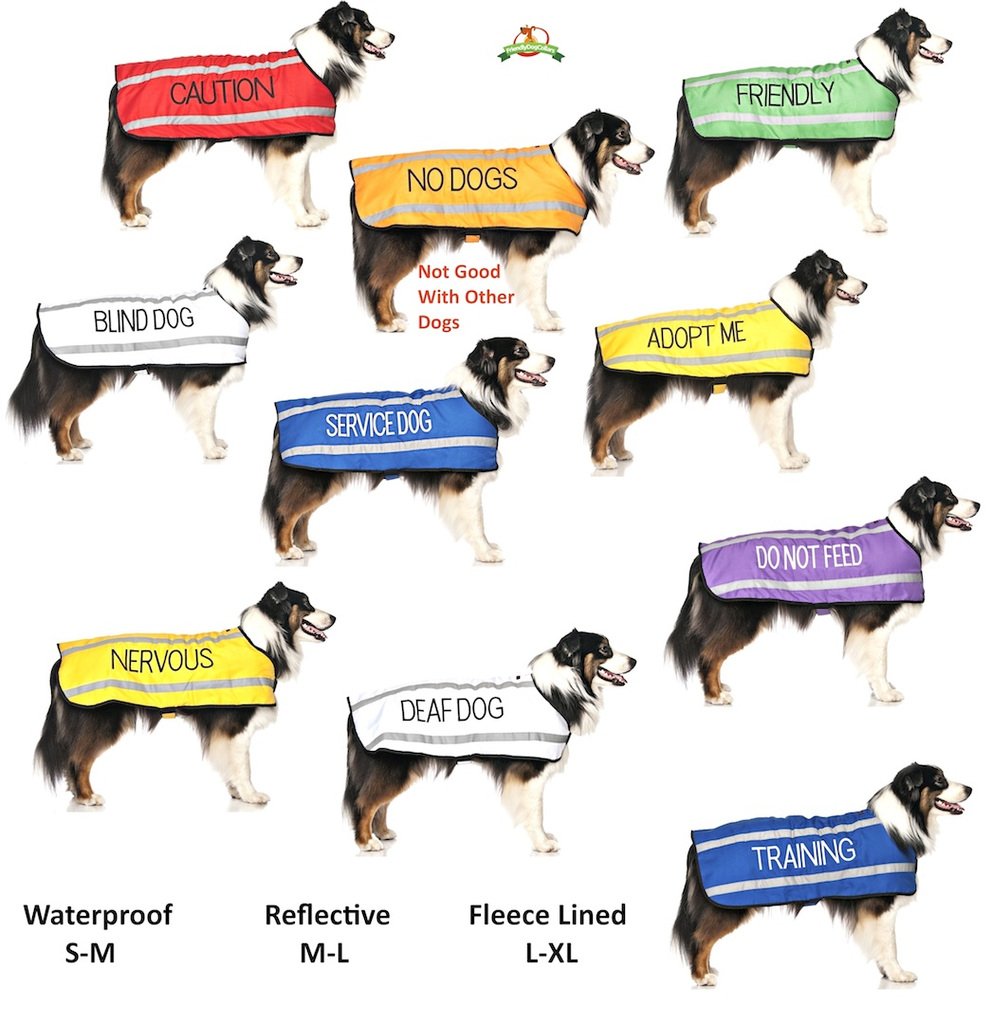 White Color-Coded Deaf Dog Harness L-XL - Non-Pull Safety Vest for Hearing Impaired Dogs | Prevent Accidents & Alert Others | Perfect for Walks, Parks & Public Spaces