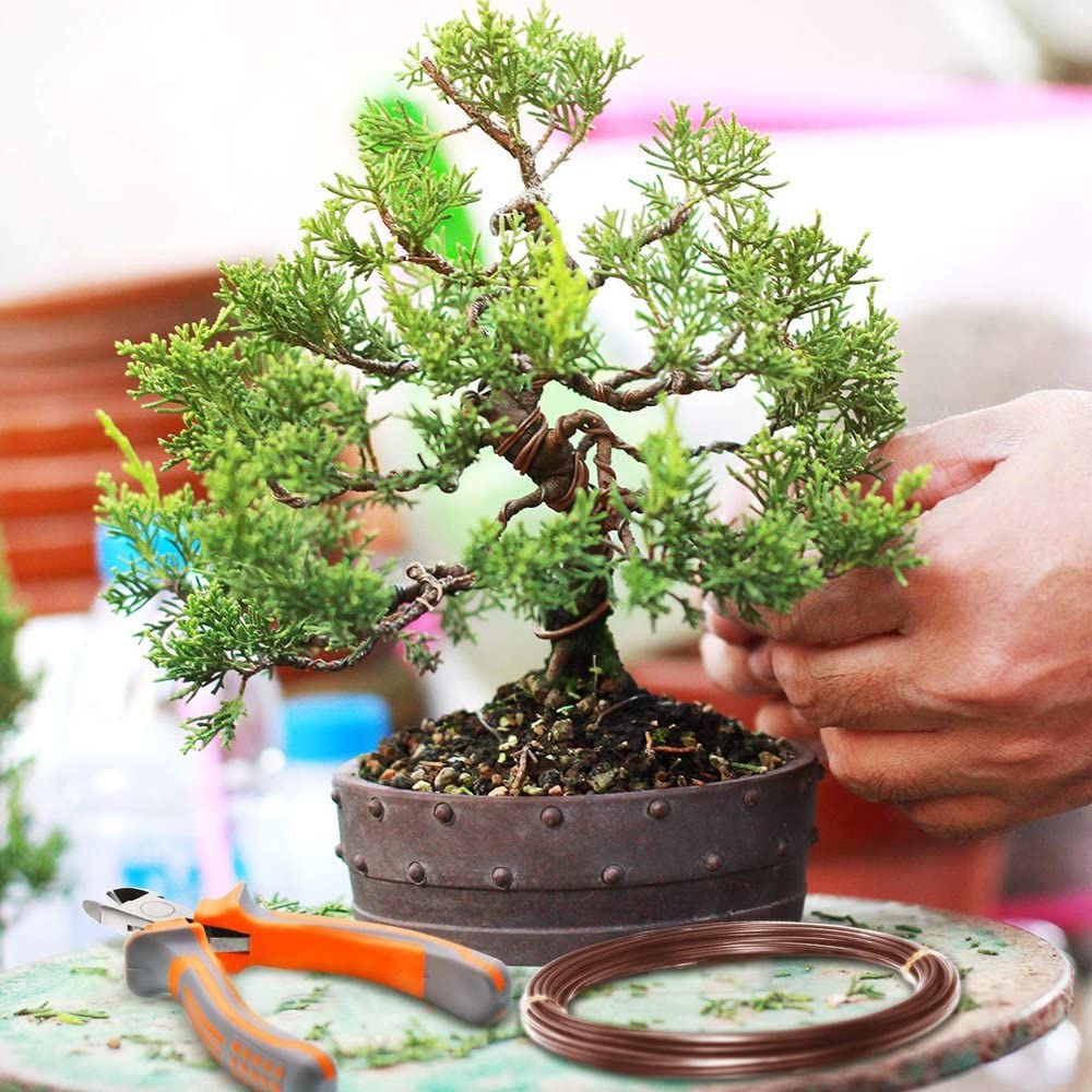 Glopro Anodized Aluminum Bonsai Training Wire - 3.5mm Thick, 10 Meters Long - Perfect for Shaping and Styling Bonsai Trees, DIY Plant Sculpting & Garden Art Projects
