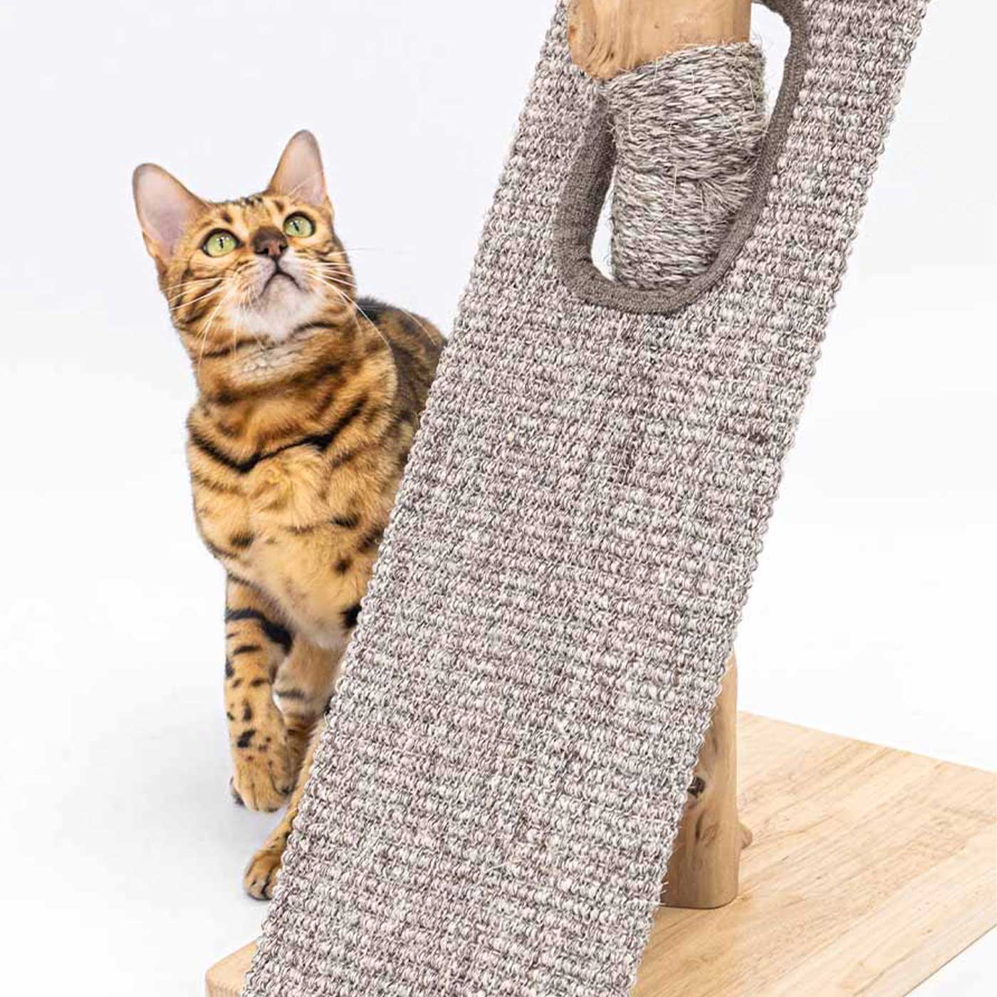 Little Rebels Palmdale 102cm Cat Tree with Scratching Posts & Perches - Multi-Level Playhouse for Indoor Cats - Perfect for Small Spaces & Apartments