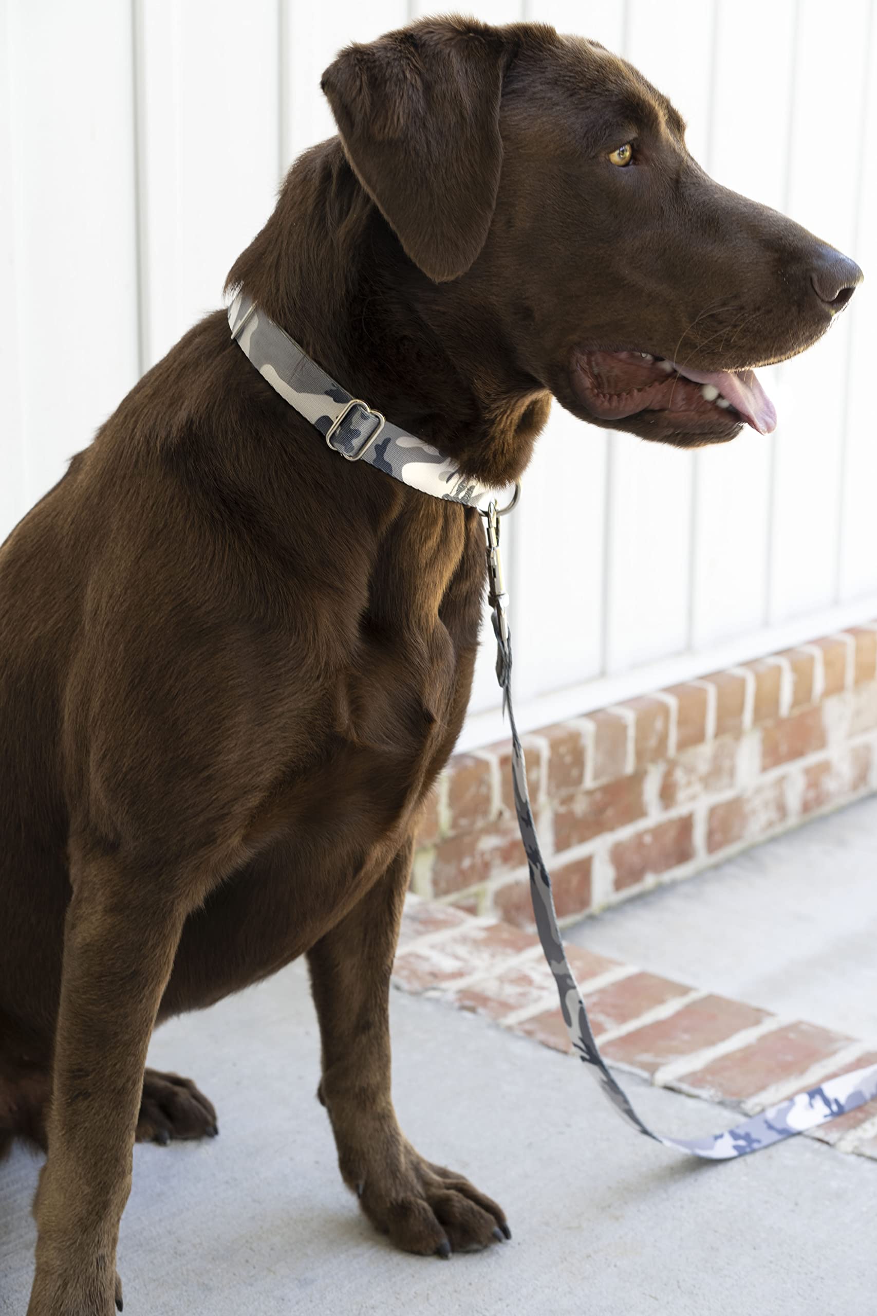Country Brook Design - Urban Camo Polyester Webbing for Dog Collars, Belts & Tactical Gear | Durable Outdoor & Military Style Accessories