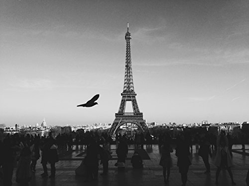 Paris Eiffel B&w