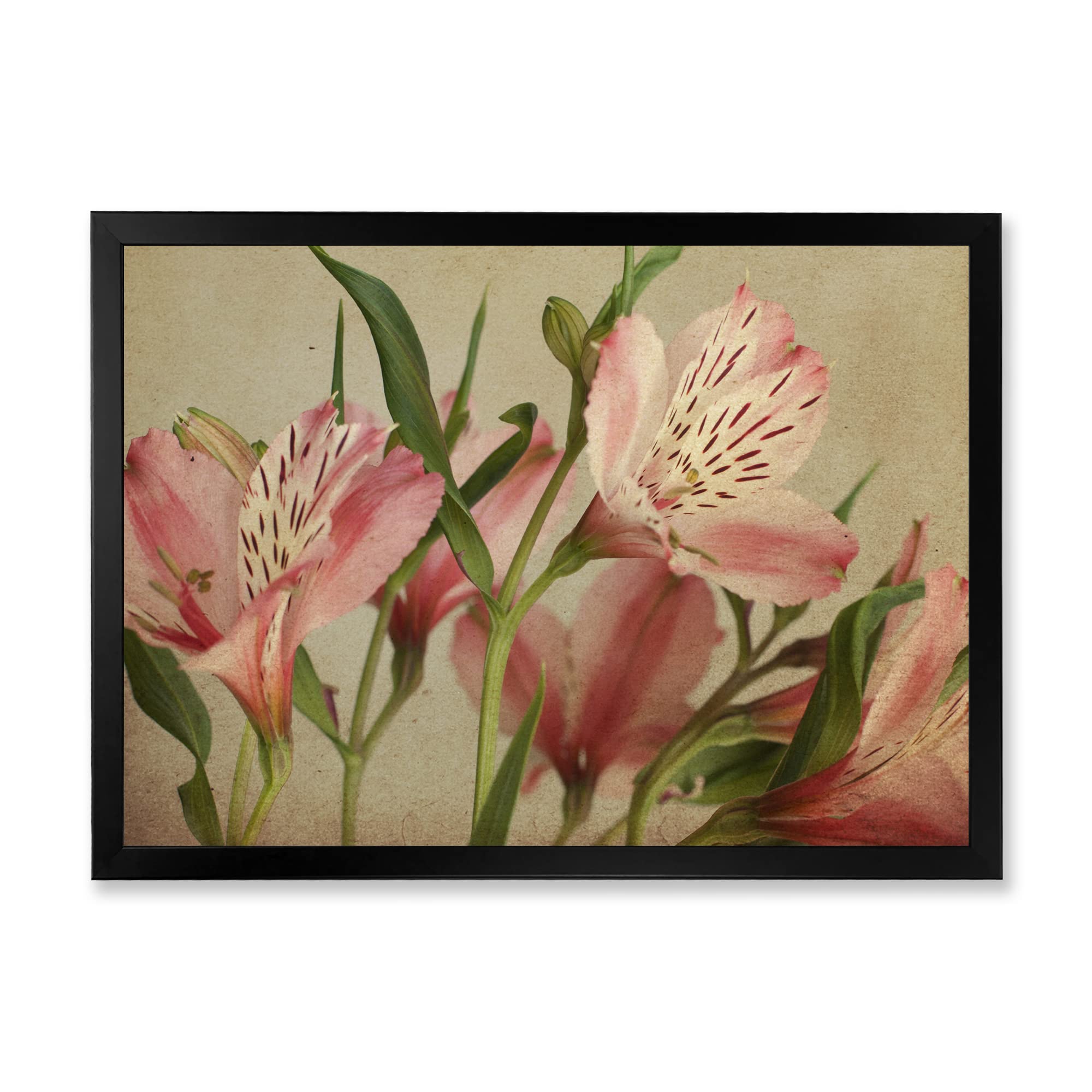 DesignQ Retro Alstroemeria Flower Traditional Framed Wall Art - Vintage Botanical Print for Home & Office Decor - Perfect for Living Room, Bedroom, or Gift