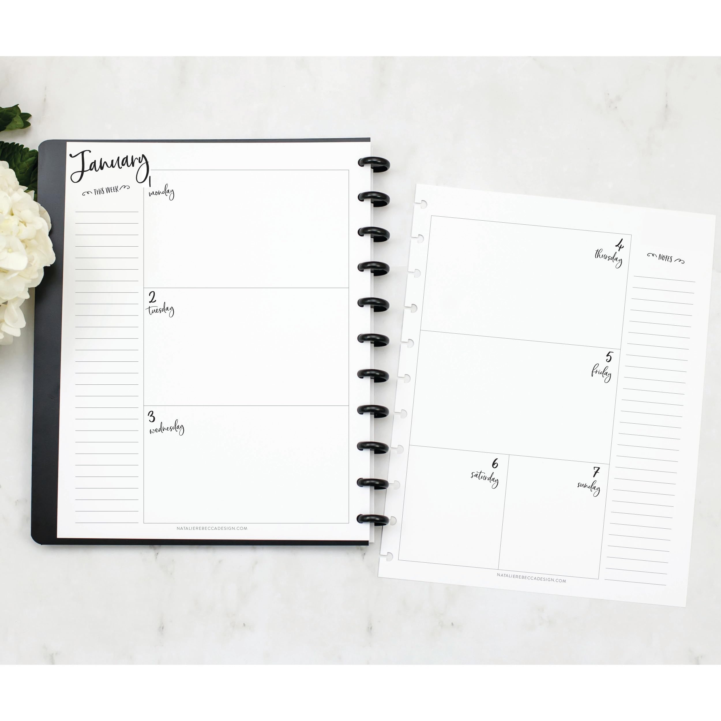 BetterNote 2025 Horizontal Calendar Refill for Disc Notebook - Compatible with Levenger Circa, Staples Arc Jr, TUL, Happy Planner & More (Whimsy Design, 11-Disc, 8.5x11 Inches) - Perfect for Office, School & Personal Planning