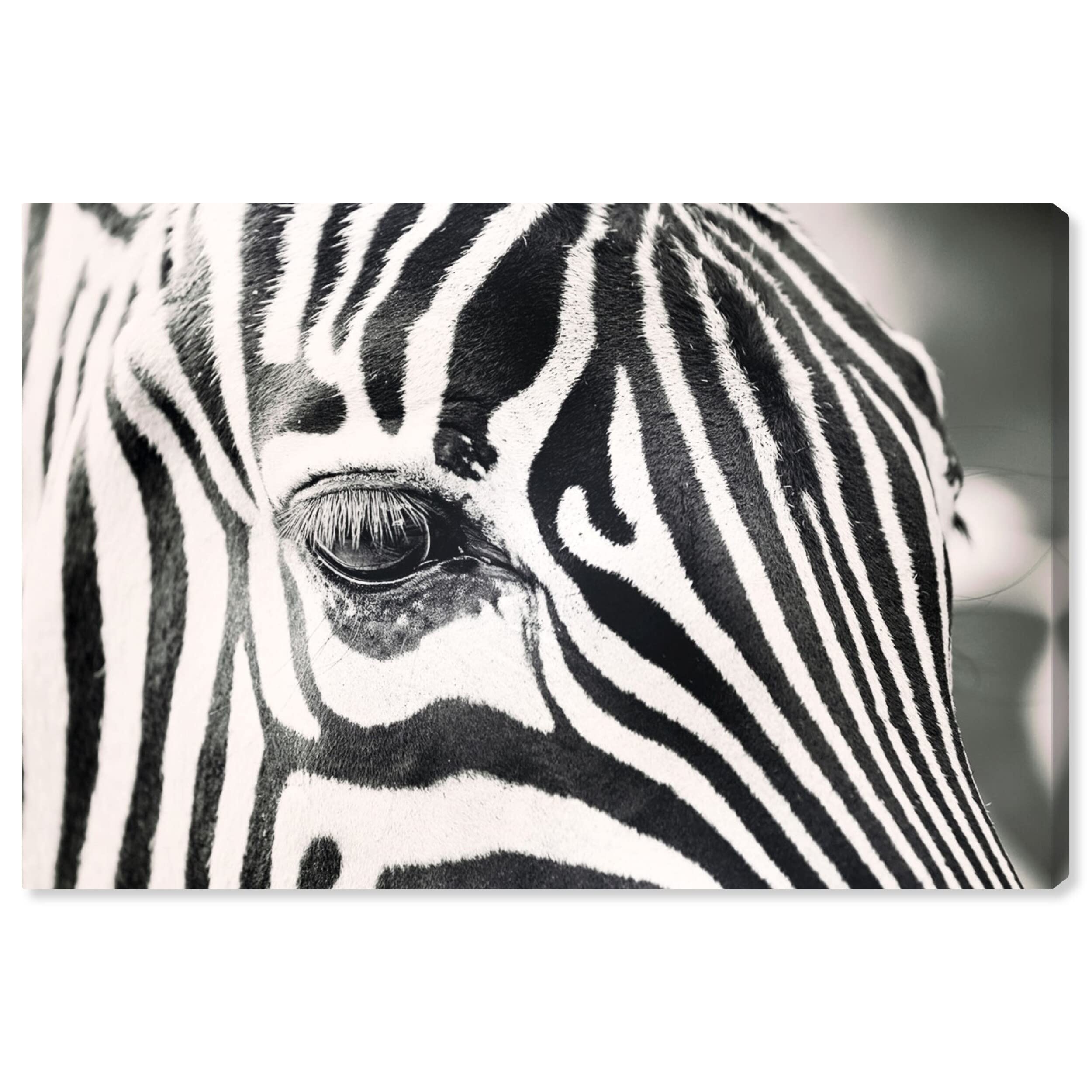 Oliver Gal Artist Co. Natural Stripes Animal Wall Art Canvas Print - 45x30 Inches Black & White Modern Home Decor | Perfect for Living Room, Bedroom & Office