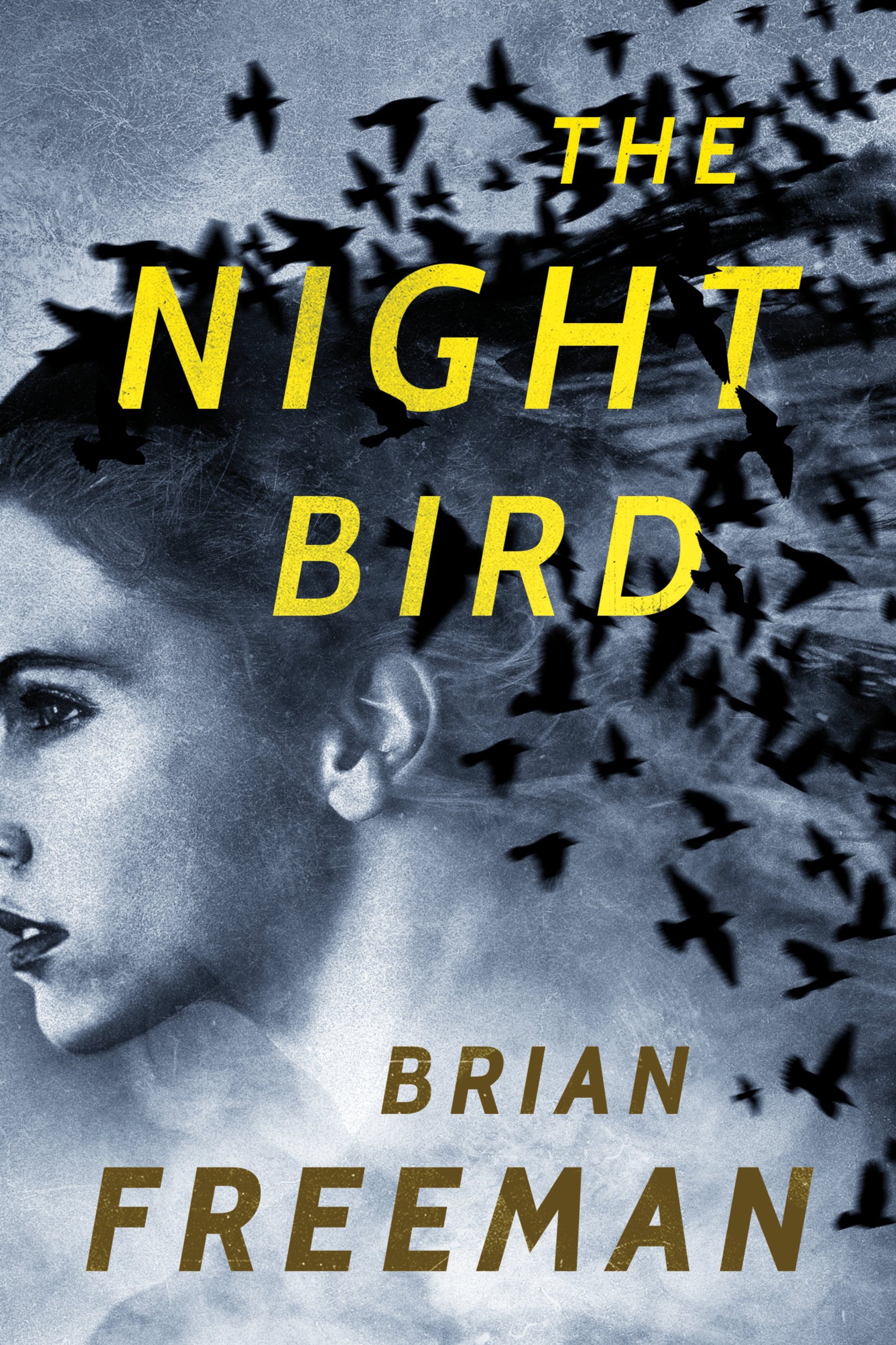 The Night Bird by Frost Easton - Crime Thriller Novel - Perfect for Mystery Lovers & Book Clubs