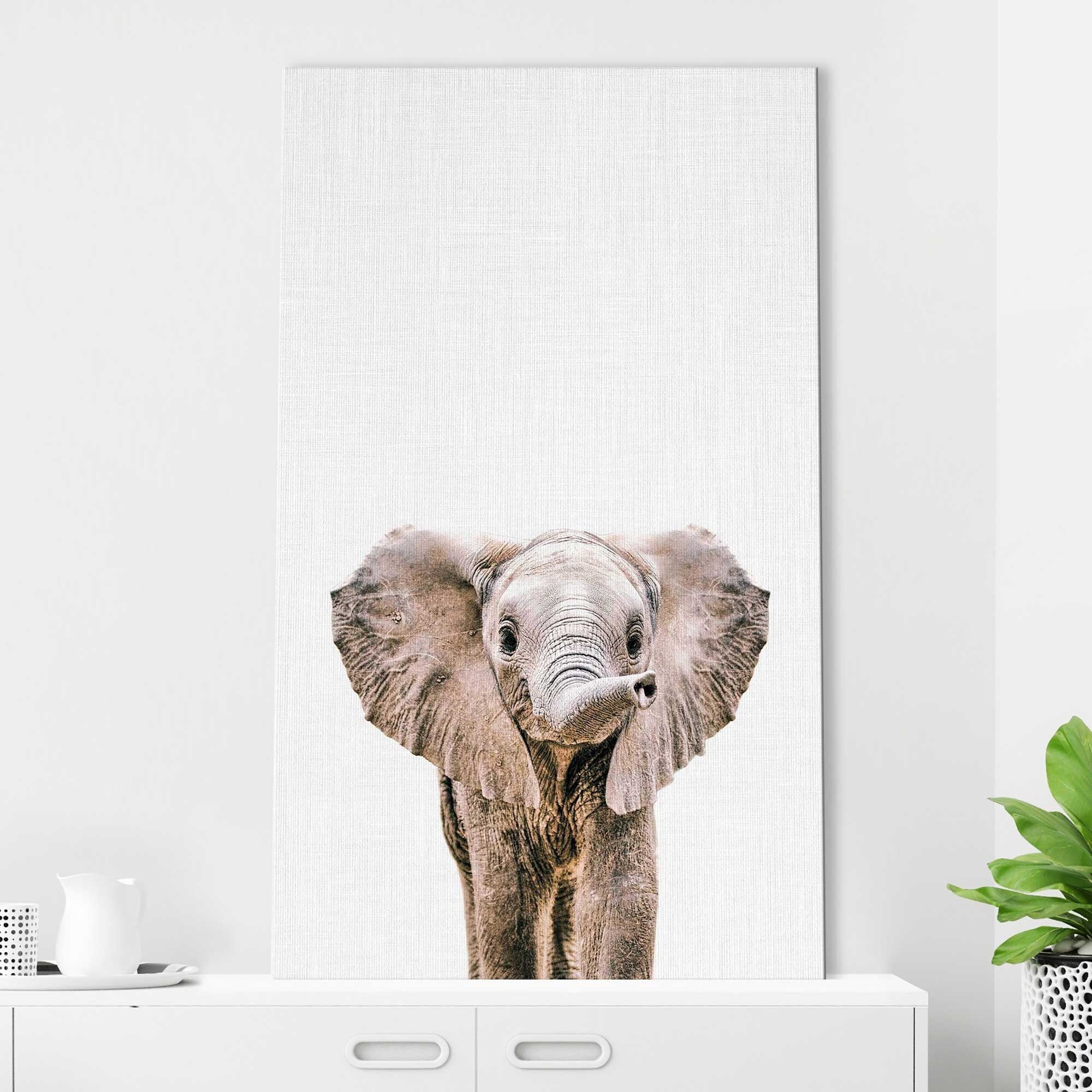 Baby Elephant Wall Art by Tai Prints - Stretched Canvas Print for Nursery, Kids Room & Home Decor