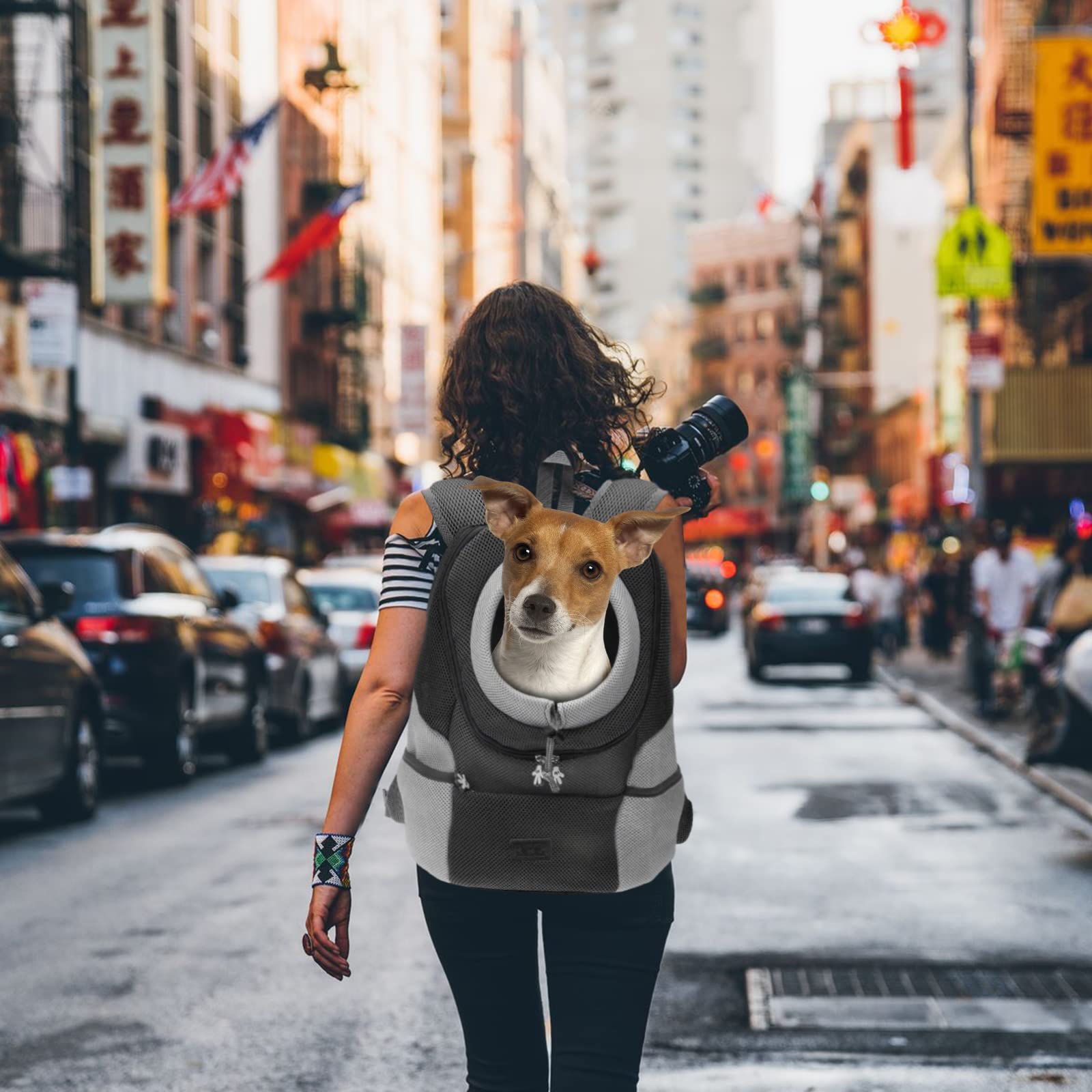 Best Dog Backpack Carrier for Small Dogs & Cats - Lightweight Pet Travel Backpack for Hiking, Airplane & Outdoor Adventures | Durable & Comfortable Pet Carrier