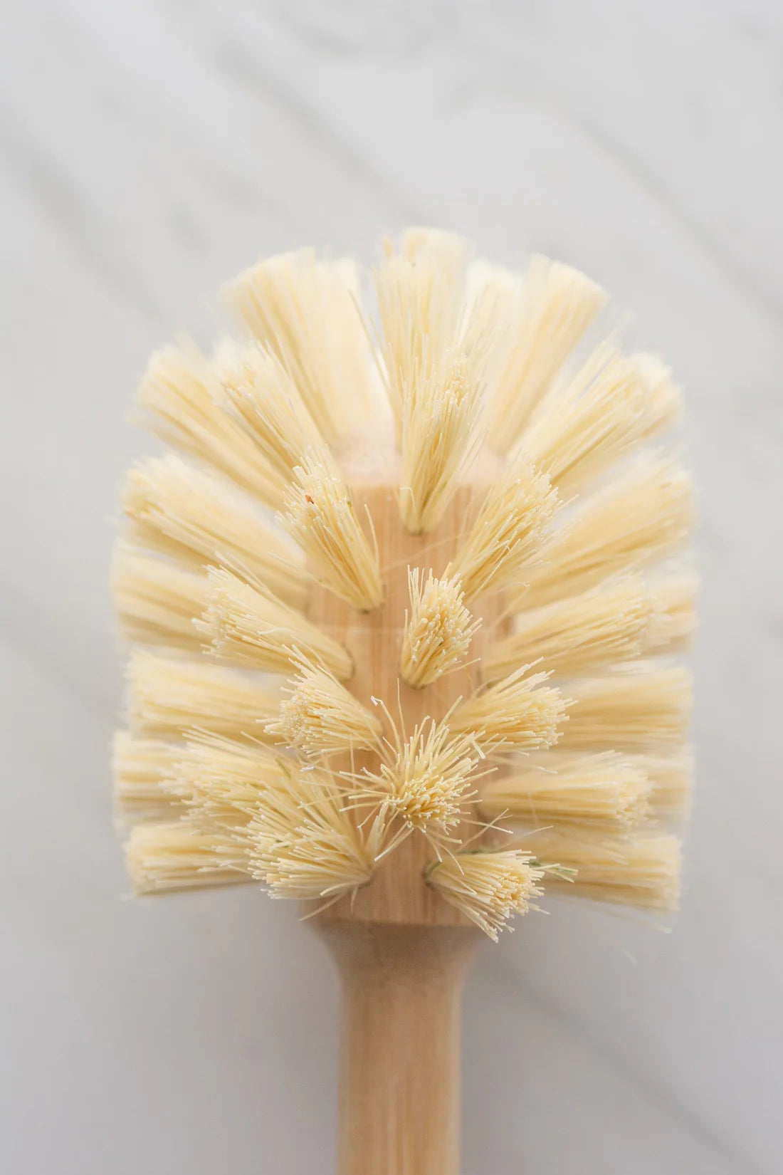 CASA AGAVE® Extra Long Handle Dish Sphere Brush - Bamboo Cleaning Brush for Pots, Pans, and Hard-to-Reach Areas - Perfect for Kitchen, Camping, and Outdoor Use