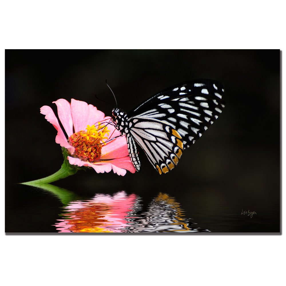 Lois Bryan Trademark Art Cliché Canvas - 16x24 Inch Wall Decor for Living Room, Bedroom & Office | Hand-Painted Modern Artwork