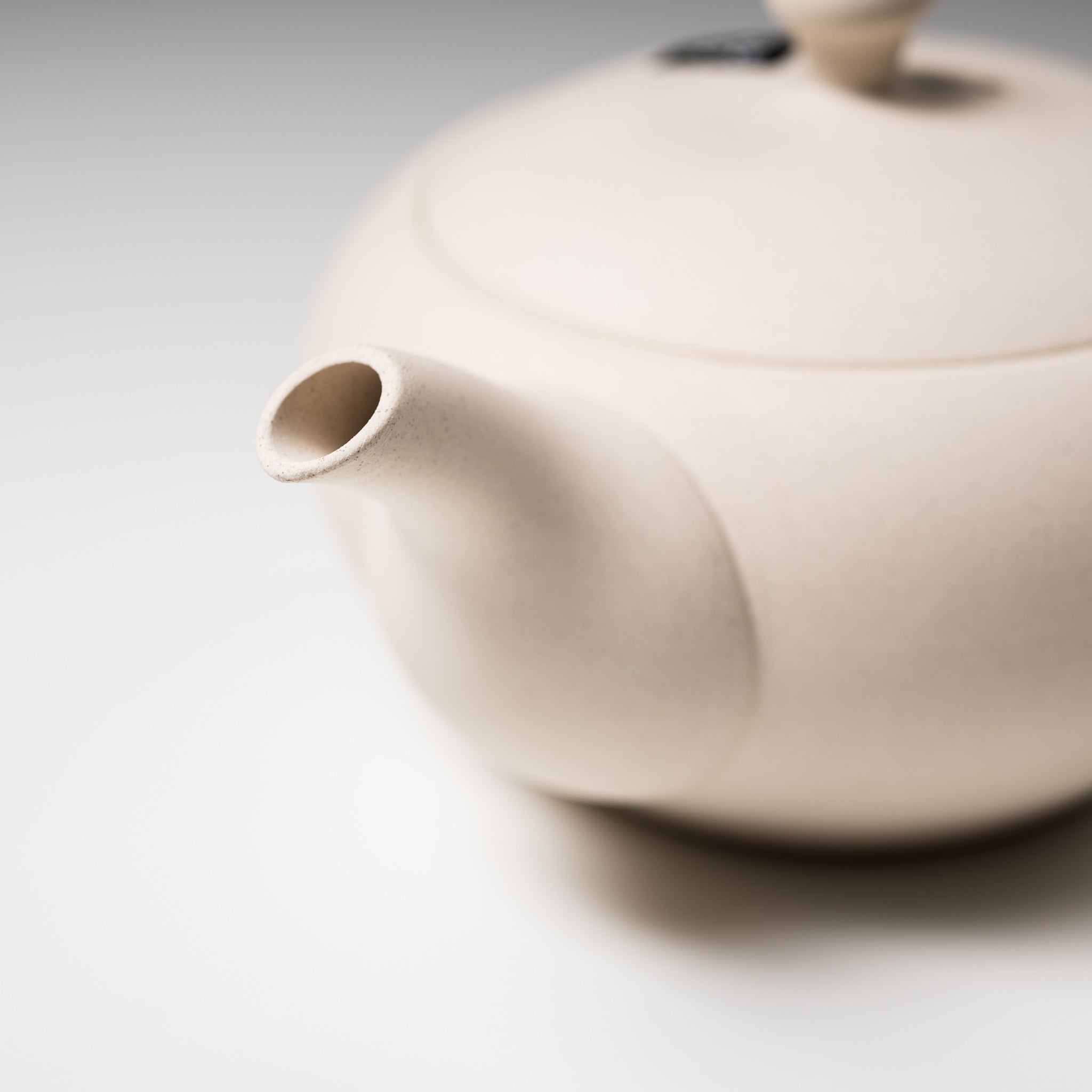 Tokoname Japanese Teapot 300ml - Mat White Unglazed Ceramic - Traditional Yixing Style for Loose Leaf Tea Brewing - Perfect for Green Tea, Oolong, and Herbal Infusions