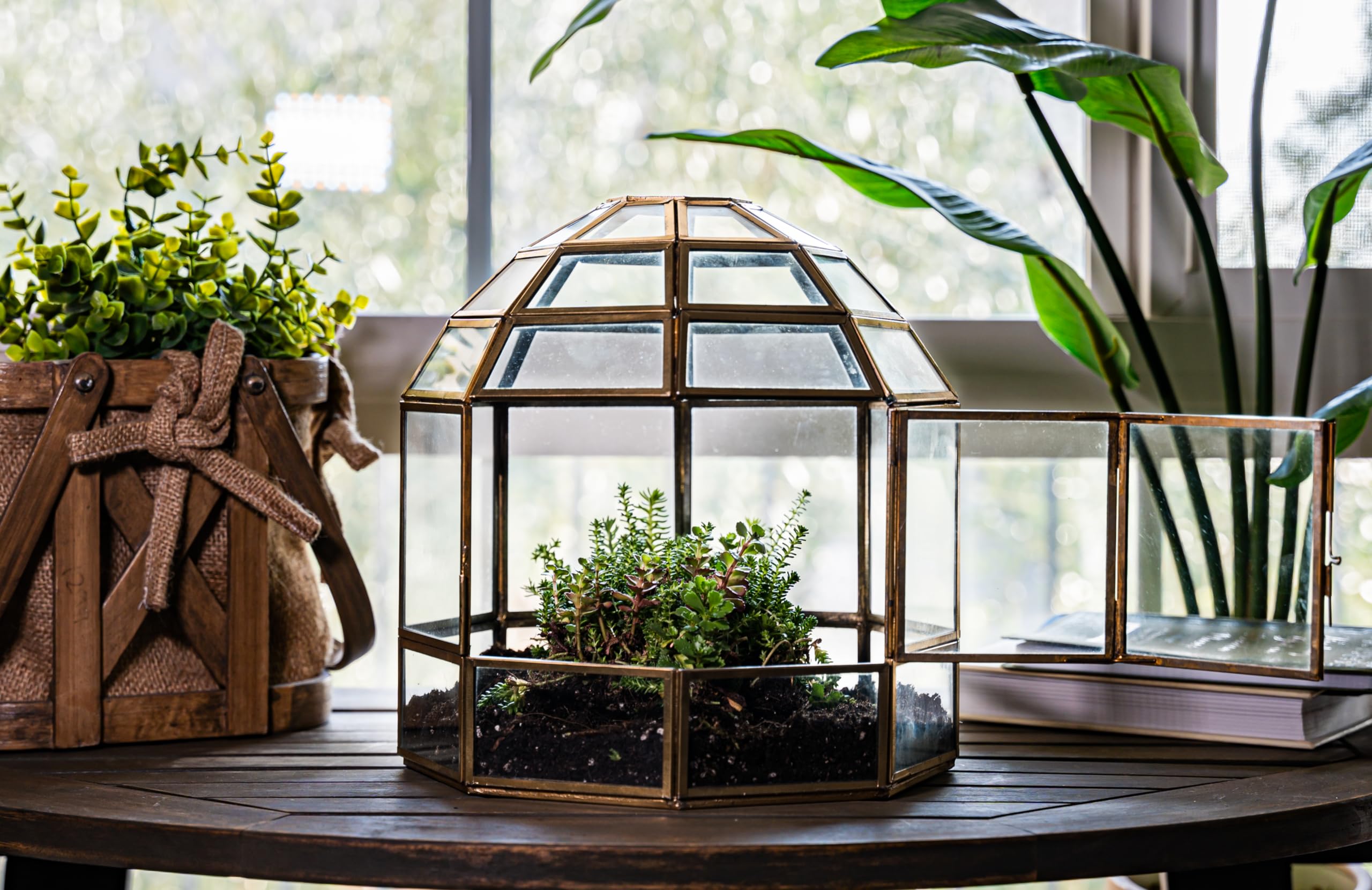 Handmade Large Glass Terrarium Birdcage - 10