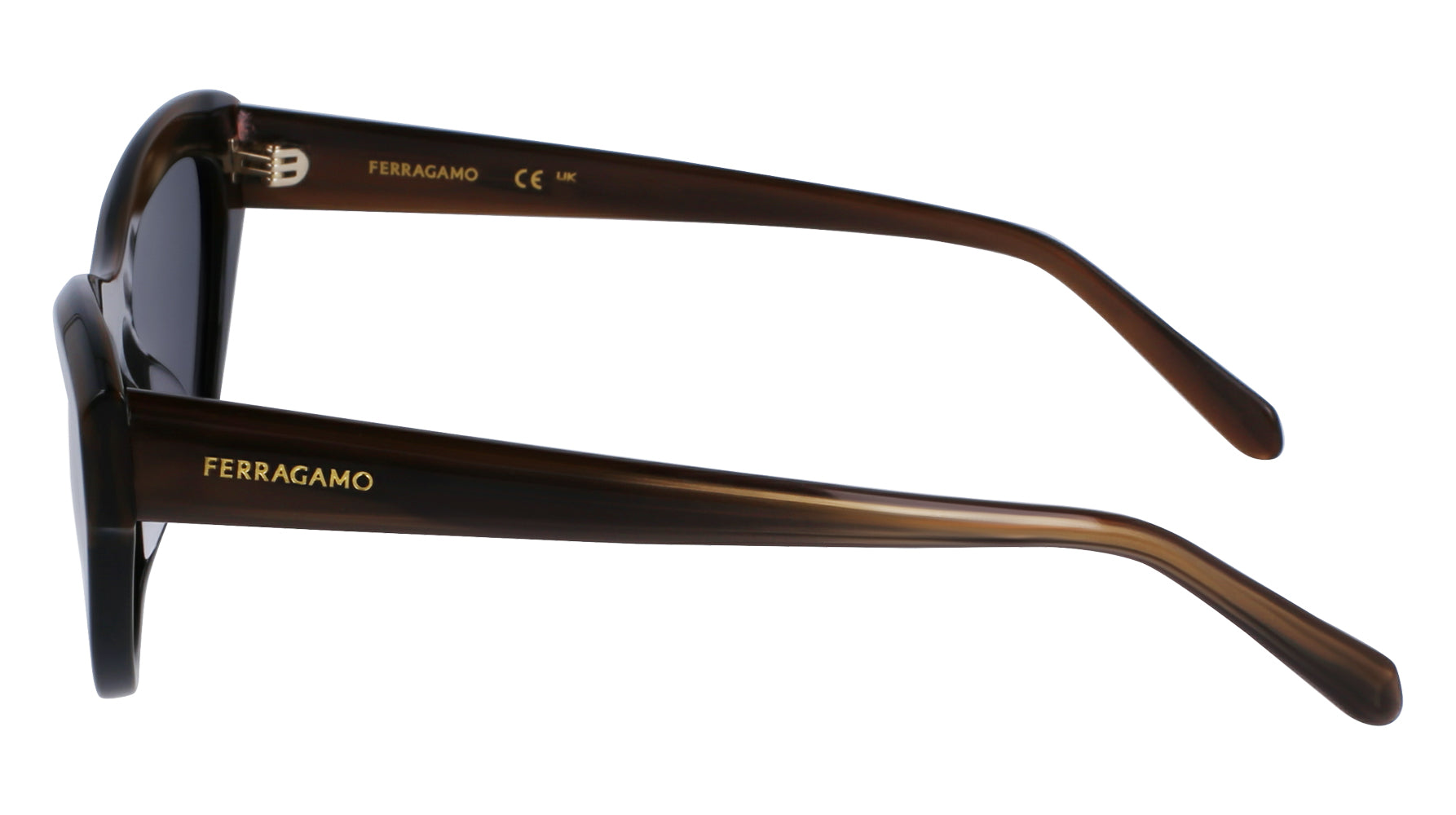 Ferragamo SF1103S Sunglasses for Women - Luxury Designer Shades with UV Protection - Perfect for Outdoor Activities, Travel, and Fashion Accessories