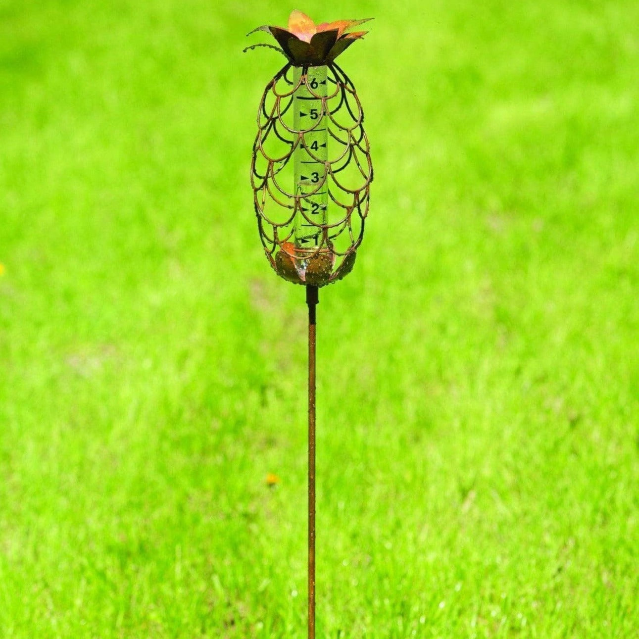 Pineapple Rain Gauge Stake - Outdoor Garden Decor with Easy-Read Measurements for Accurate Rainfall Tracking - Perfect for Backyards, Lawns, and Flower Beds