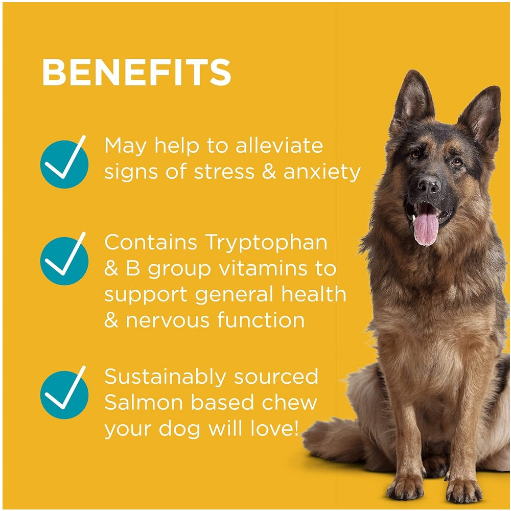 Paw Complete Calm Chews for Dogs - Natural Anxiety Relief & Stress Support - Calming Treats for Anxious, Nervous, or Hyperactive Dogs - Perfect for Thunderstorms, Travel, Vet Visits & Separation Anxiety