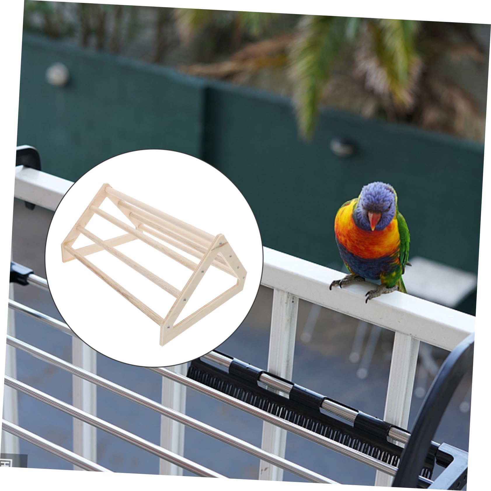 Balacoo Wooden Chicken Stand - Pet Parrot Perch, Poultry Rack & Bird Cage Accessory for Hens, Chicks & Small Birds - Durable & Natural Wood Toy for Indoor/Outdoor Use