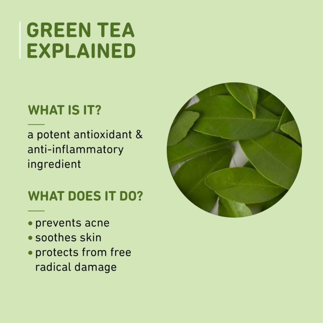 Plum Green Tea Renewed Clarity Night Gel Mini - Hydrating & Acne-Fighting Face Moisturizer for Oily Skin | Lightweight, Quick-Absorbing, Non-Sticky Vegan Gel | Perfect for Nighttime Skincare Routine & Travel