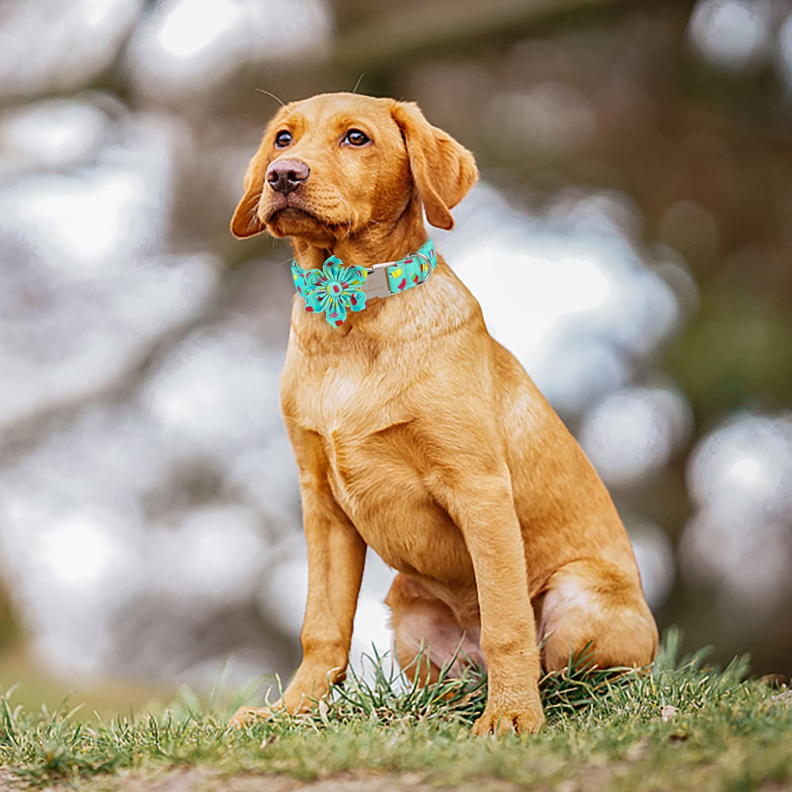 4th of July Dog Bow Tie Collar - Patriotic American Flag Pet Accessory with Metal Buckle for Small, Medium & Large Dogs - Red White & Blue Dog Necktie for Independence Day, Memorial Day & Labor Day - Perfect for Festive Parties, Parades & Photo Shoots (Popsicle Green Flower Design, XS Size)