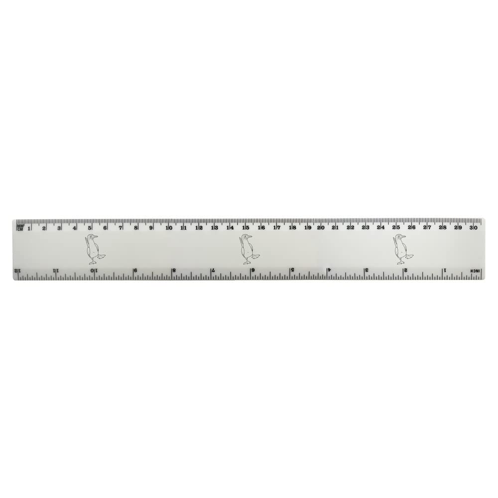 Azeeda 12 Inch Blue Footed Booby Bird Plastic Ruler - White School & Office Measuring Tool (RL00068482) - Perfect for Students, Artists & DIY Projects