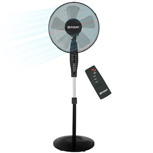 Black Remote Fan
