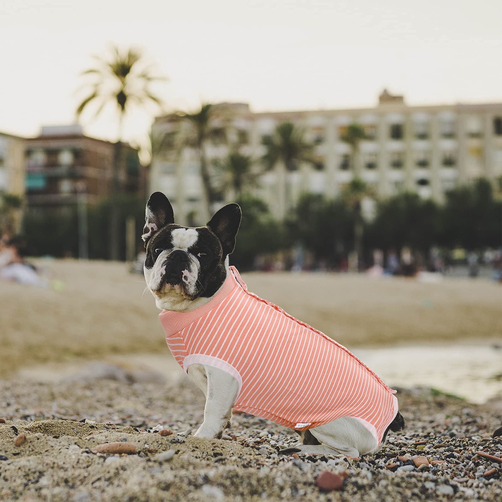SAWMONG Dog Recovery Suit - Post-Surgery Surgical Suit for Female & Male Dogs, Soft Onesie Alternative to E-Collar Cone (Pink, Large) - Perfect for Spay/Neuter Recovery, Wound Protection & Comfort After Vet Procedures