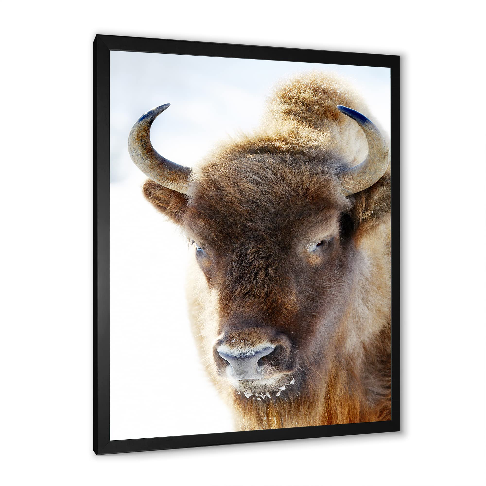 Farmhouse Framed Wall Art - Portrait of Wild Bison - Rustic Home Decor for Living Room, Bedroom & Office - DesignQ Premium Canvas Print
