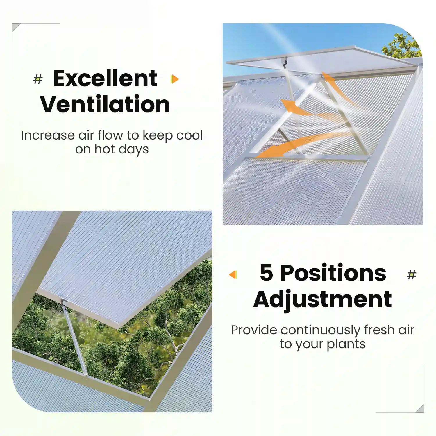 Premium Walk-in Polycarbonate Greenhouse Kit - 6'x8' Sturdy & Weatherproof Backyard Garden Greenhouse for Year-Round Planting | Perfect for Vegetables, Flowers & Seed Starting