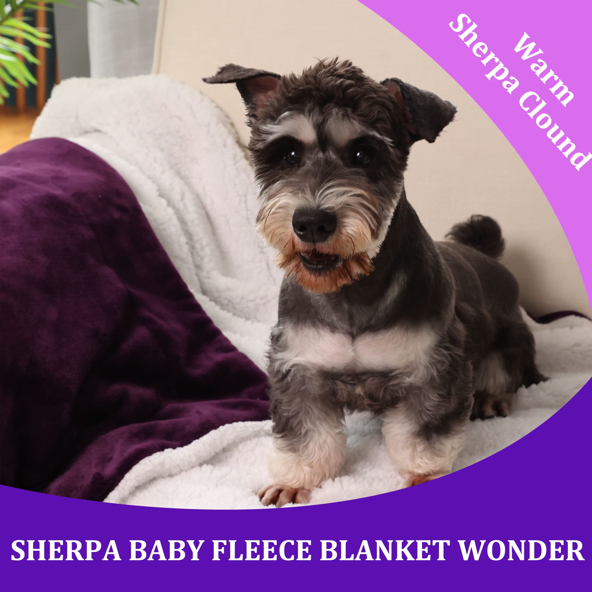 NANPIPER Baby Sherpa Blanket - Ultra Soft Fleece Toddler Throw Blanket for Newborn & Infant - Warm Winter Blanket 30x40 Inches (Purple) - Perfect for Nursery, Stroller, Car Seat & Cuddling