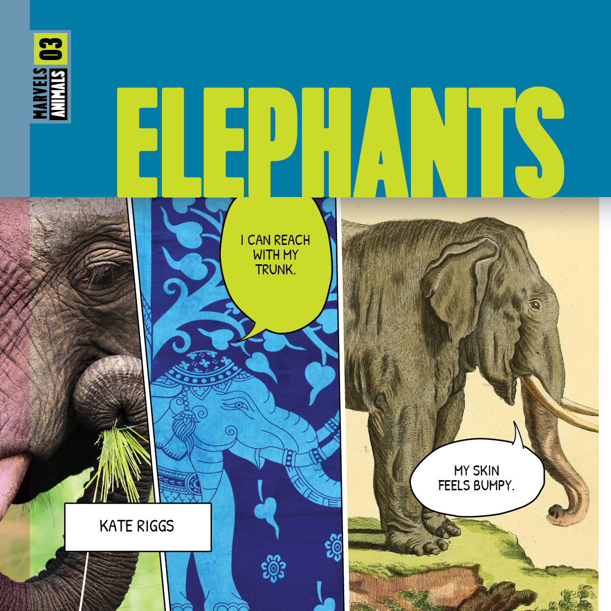 Elephants Book 9781640268401 - Wildlife Education & Nature Exploration for Kids & Adults