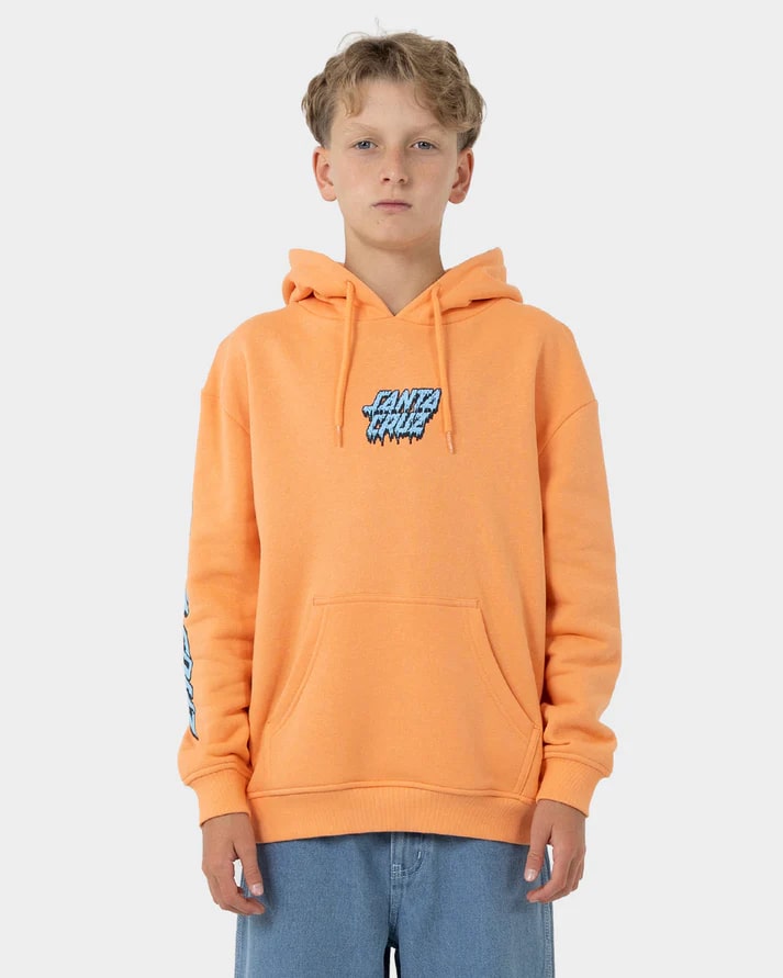 Santa Cruz SC Decaying Hand Graphic Boys Hoodie - Cool Streetwear for Skateboarding & Casual Wear