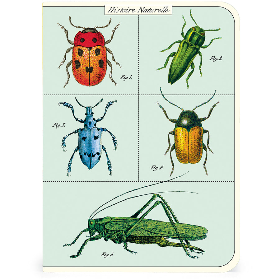 Cavallini & Co. Bugs & Insects Mini Notebook Set - 3 Pack, Pocket-Sized Journals for Nature Lovers, Travelers & Students - Perfect for Field Notes, Sketching & Gift Giving