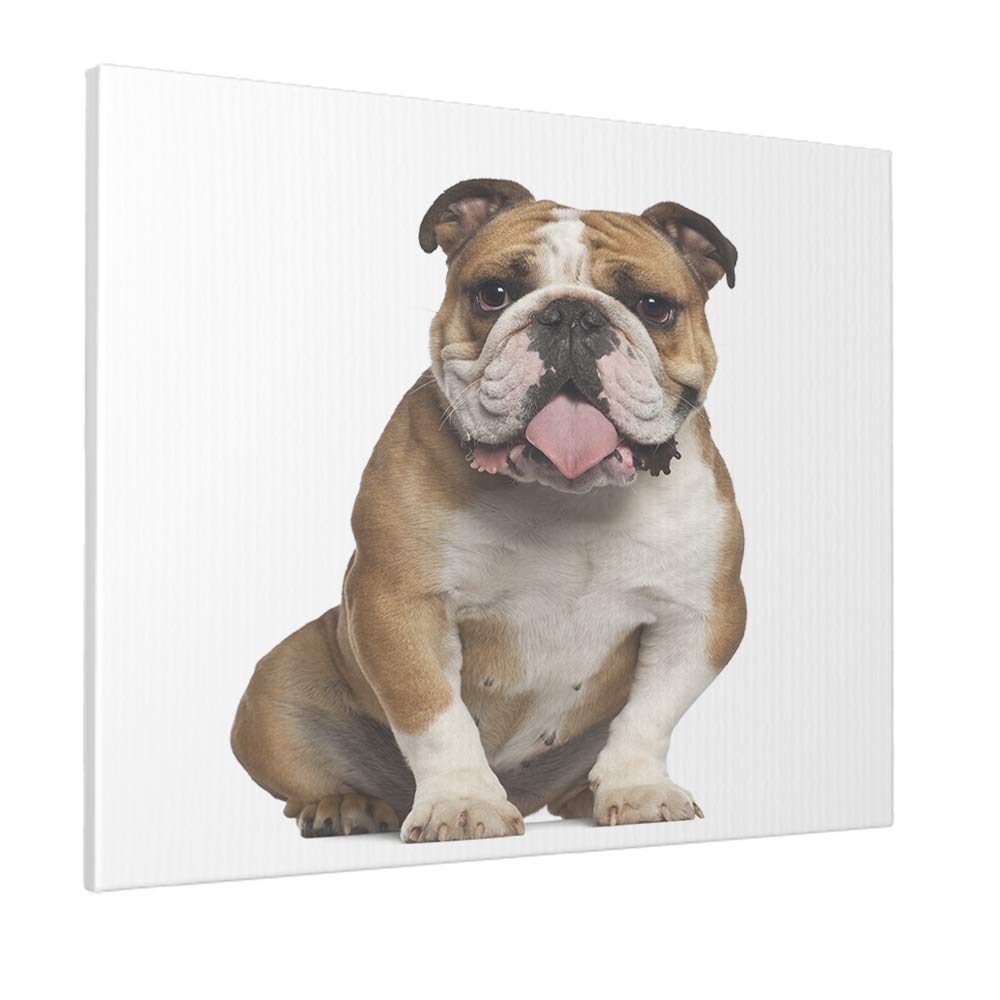 Swono Funny English Bulldog Sitting Canvas Painting - 12
