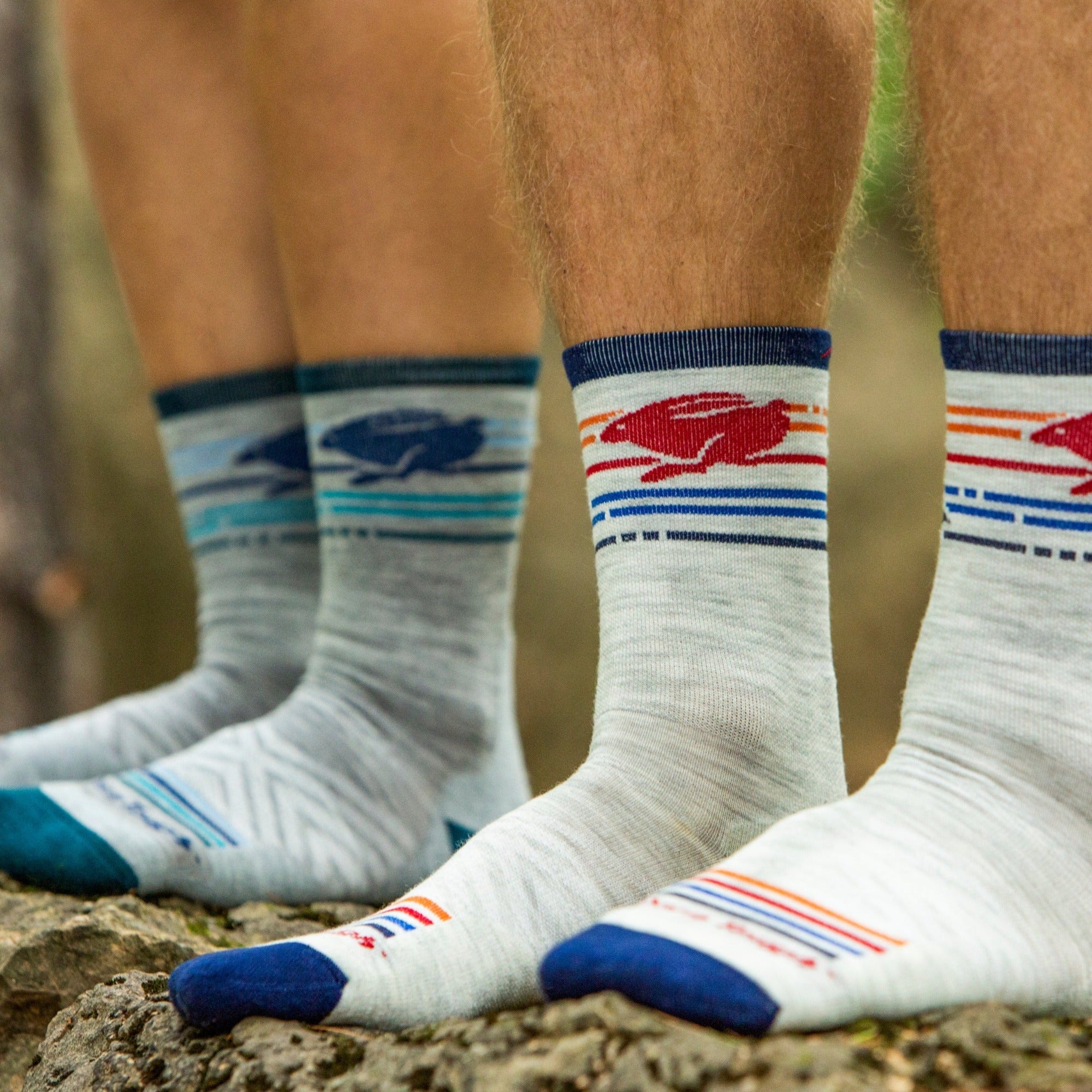 Pacer 2 Pack Running Socks for Men & Women - Breathable Cushioned Athletic Socks for Jogging, Gym & Marathon Training