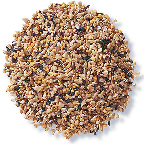 Duncraft Fancy Finch Mix Wild Bird Food - Premium 5 lb Bag for Finches & Small Birds | Attract Wild Birds to Your Backyard & Garden