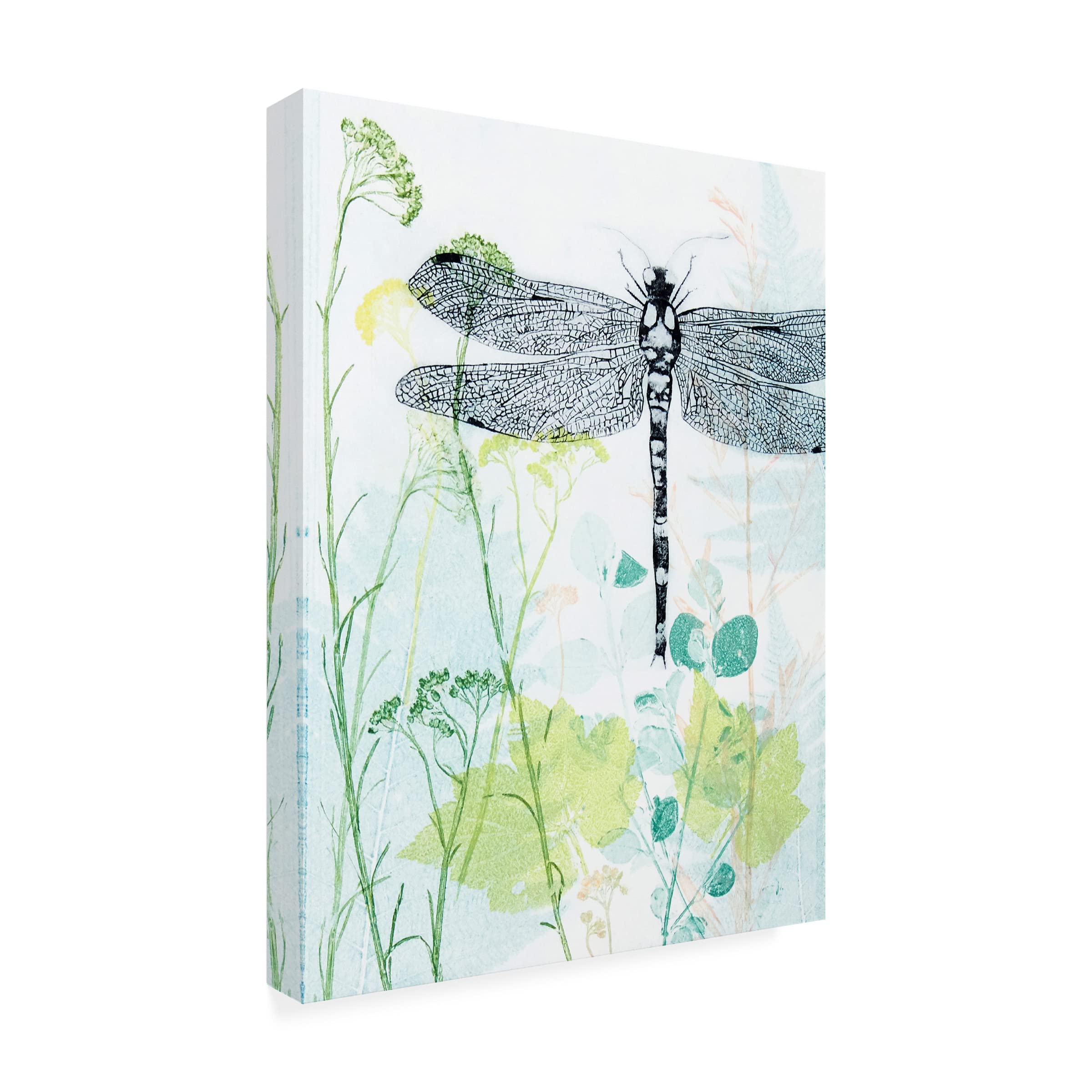 Trademark Fine Art 'Dragonfly And The Healing Plant' Canvas Wall Art Print by Trudy Rice - Nature Inspired Home Decor for Living Room, Bedroom & Office