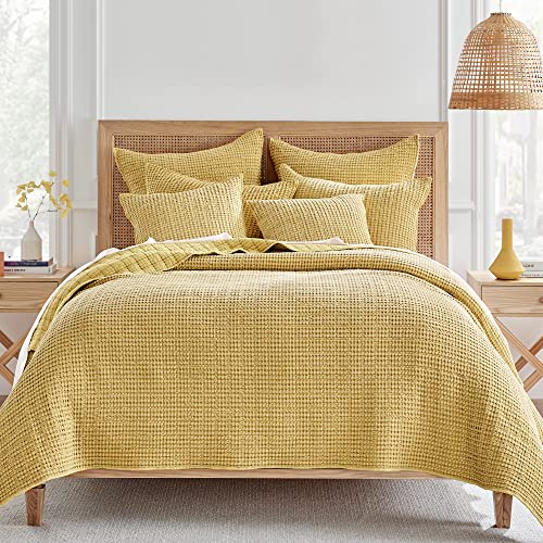 Ochre