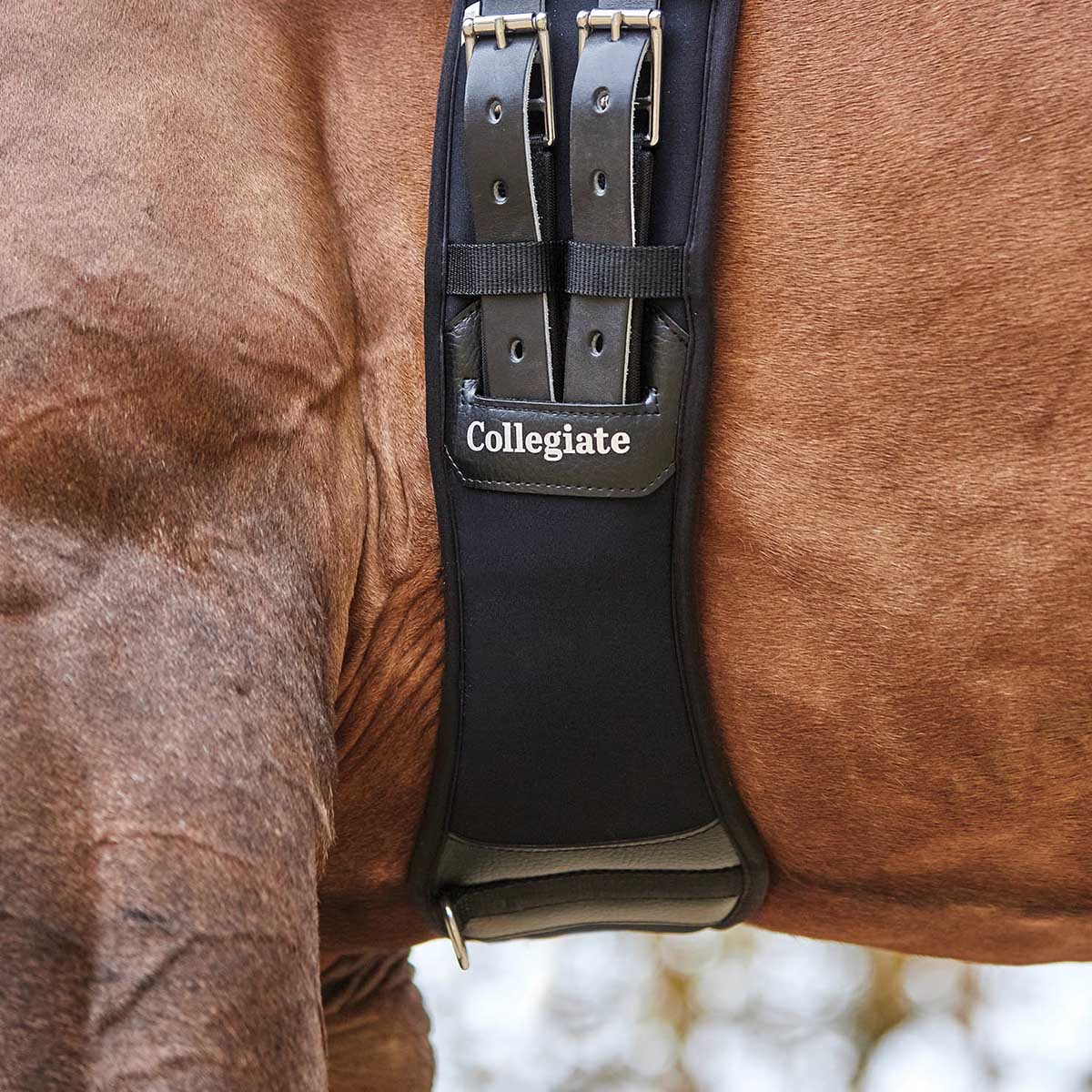 Premium Collegiate Memory Foam Dressage Girth for Horses - Black | Comfortable Equestrian Girth for Training & Competition | Perfect for English Riding & Show Jumping