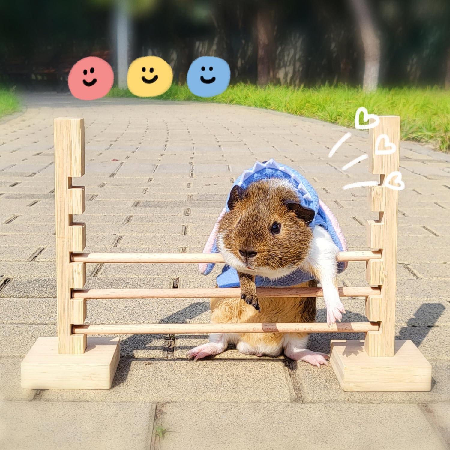 Natural Wood Guinea Pig Jump Bar Set - Adjustable Height Small Animal Training Hurdles for Rabbits, Chinchillas & Dwarf Pets - Fun Obstacle Course Toy for Exercise & Playtime Activities