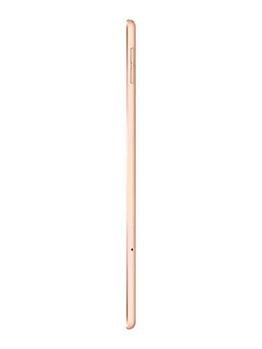 2019 Apple iPad Mini 7.9-inch Wi-Fi + Cellular 256GB - Gold (Renewed) | Portable Tablet for Work, Travel & Entertainment