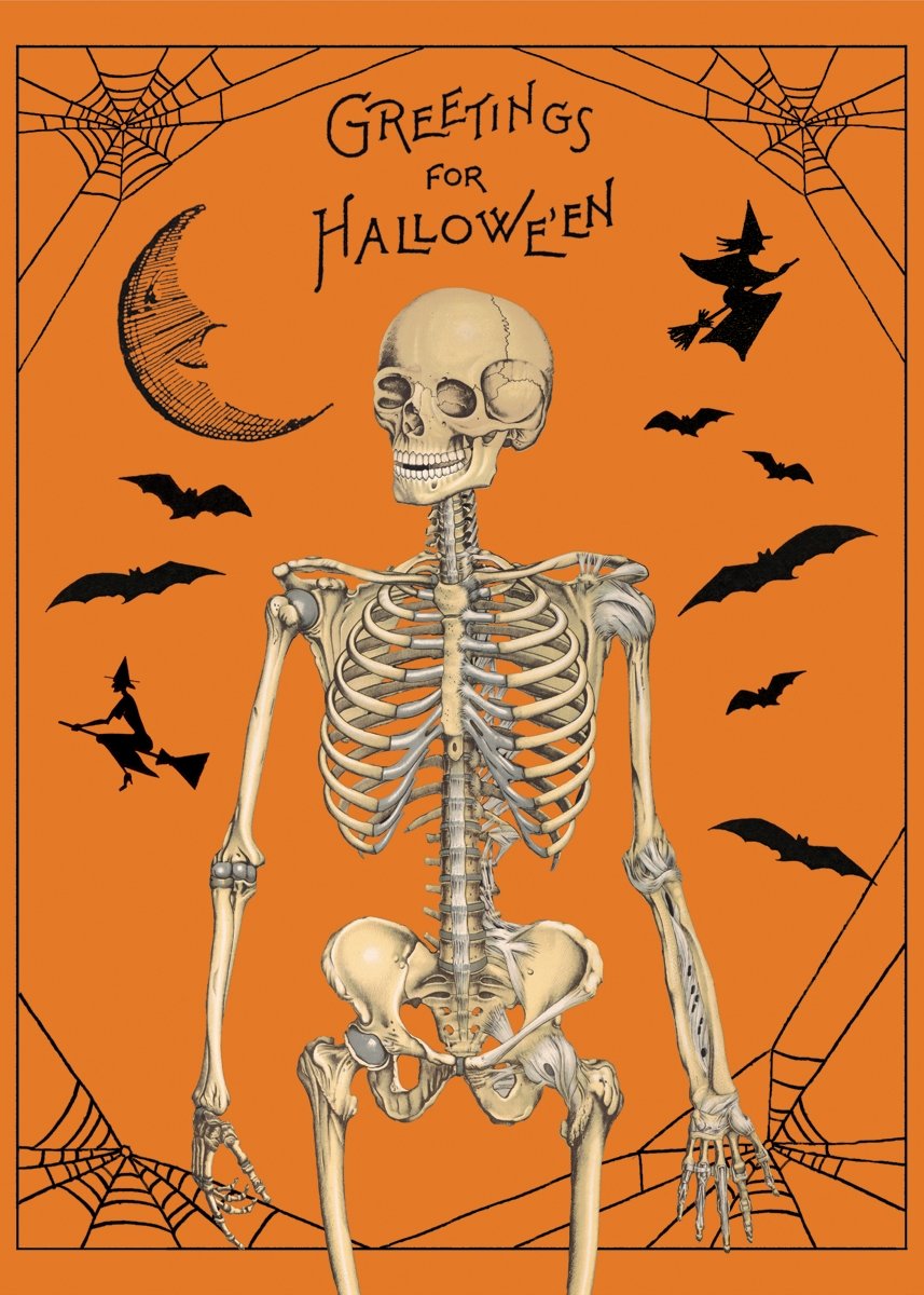 Cavallini & Co. Halloween Greetings Wrapping Paper - Spooky Holiday Gift Wrap for Parties, Trick or Treat Bags & Festive Decorations