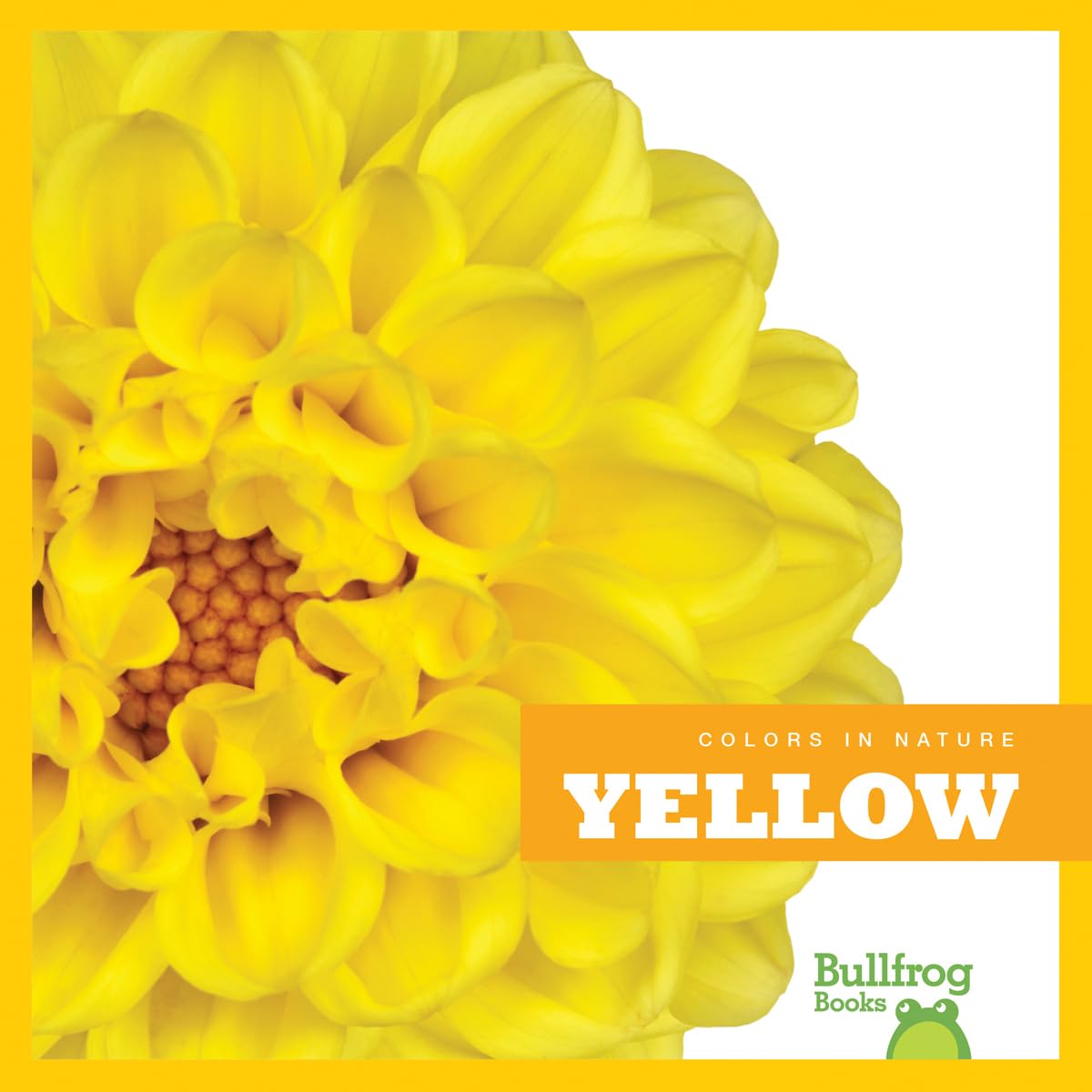 Yellow (Bullfrog Books: Colors in Nature) - Explore Vibrant Yellow Colors in Nature for Kids Learning & Classroom Activities