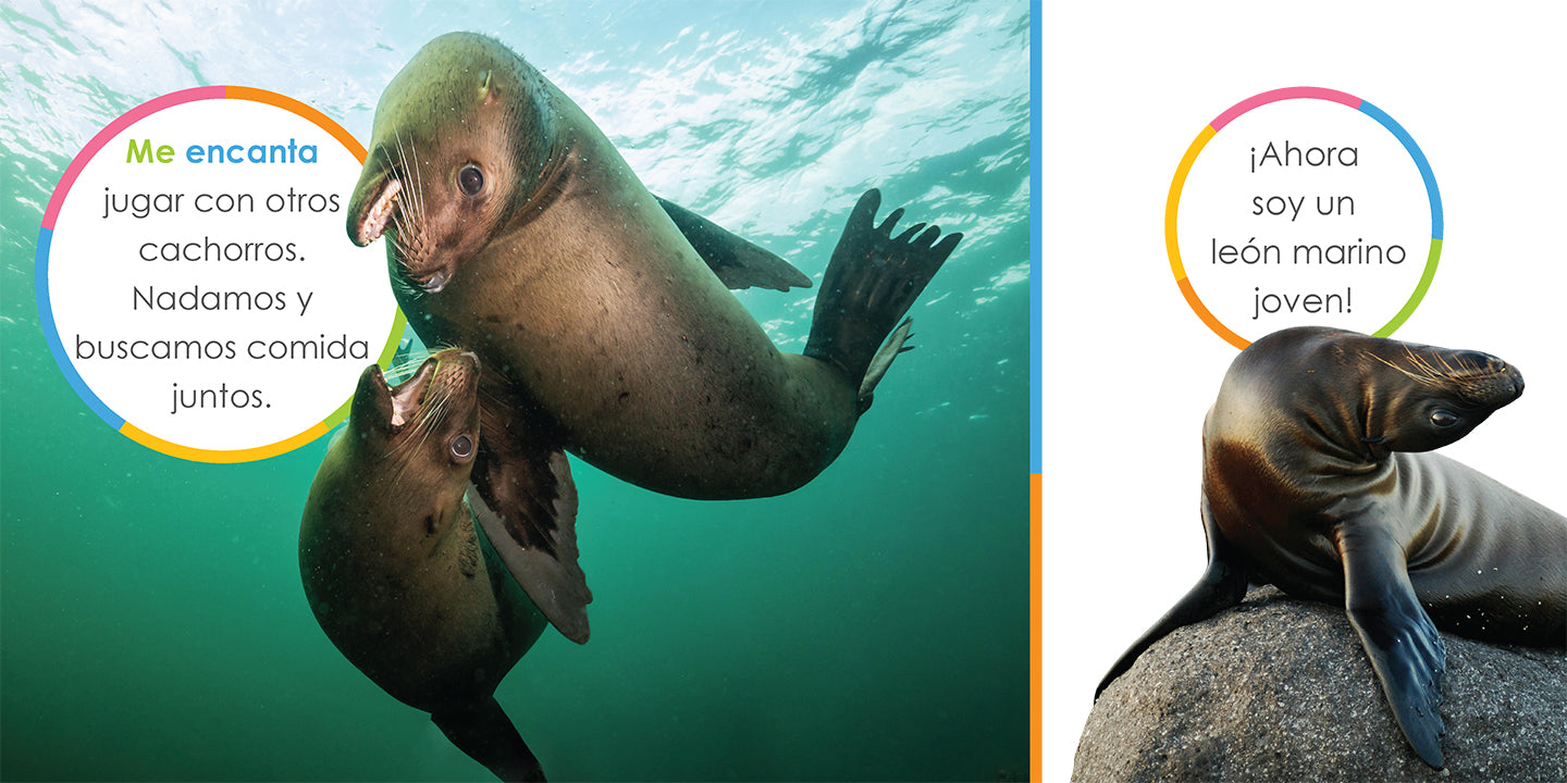 Baby Sea Lion Plush Toy - Soft & Cuddly Stuffed Animal for Kids, Perfect for Nursery Decor, Birthday Gifts & Ocean-Themed Bedrooms