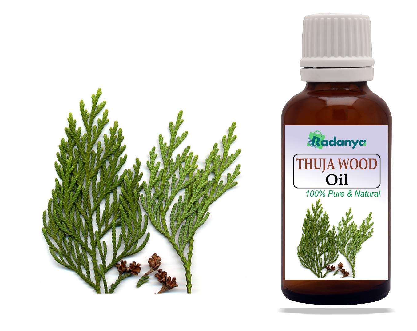 100% Pure Natural Thuja Wood Essential Oil for Aromatherapy, Diffusers & Massage - 3ML to 1000ML Size Options - Relaxation, Stress Relief & Home Fragrance