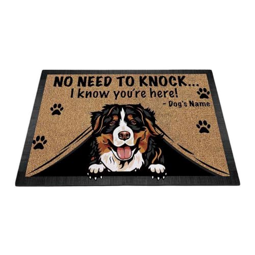Bernese Mountain Dog
