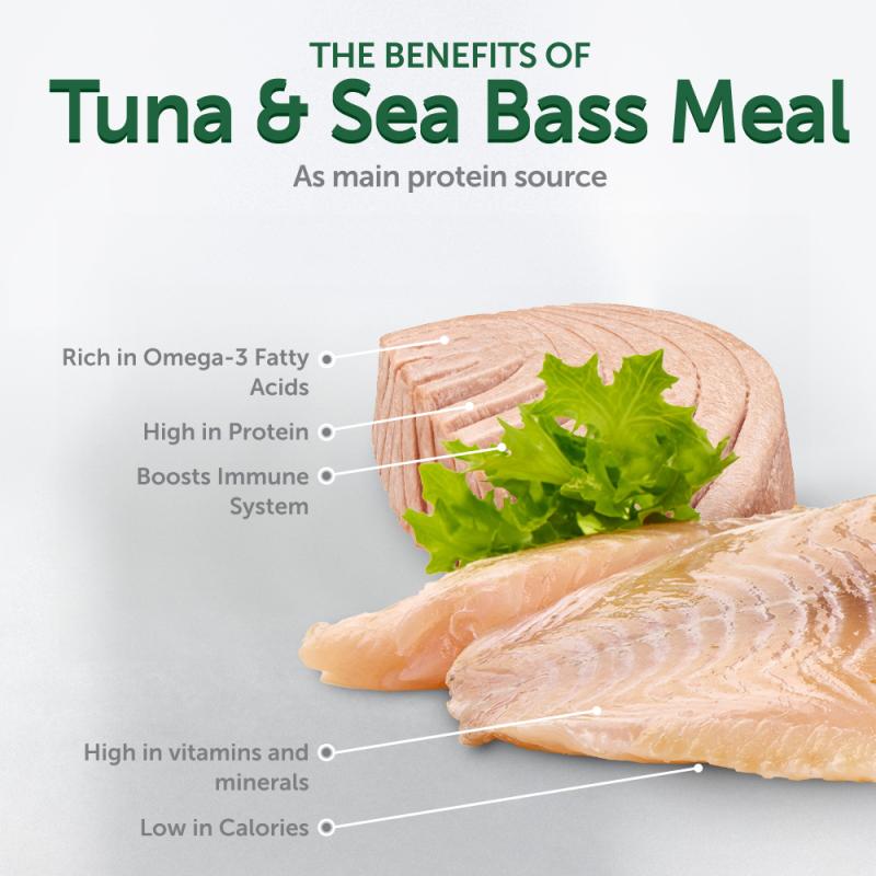 Premium Wet Dog Food for Adult Dogs - All Breeds with Tuna & Sea Bass | High-Protein Meal for Healthy Skin & Coat | Perfect for Picky Eaters & Sensitive Stomachs