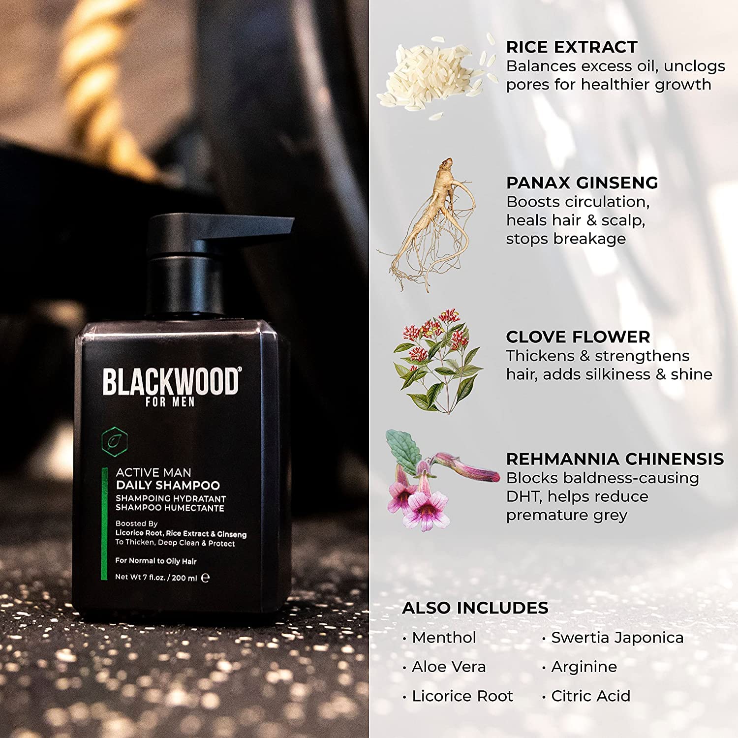 Premium BLACKWOOD FOR MEN Grooming Kit - Dapper Dad Set with Travel Bag, Shampoo, Conditioner & Body Wash | Natural Vegan Formula for Active Men | Perfect for Travel, Gifts & Daily Skincare Routine