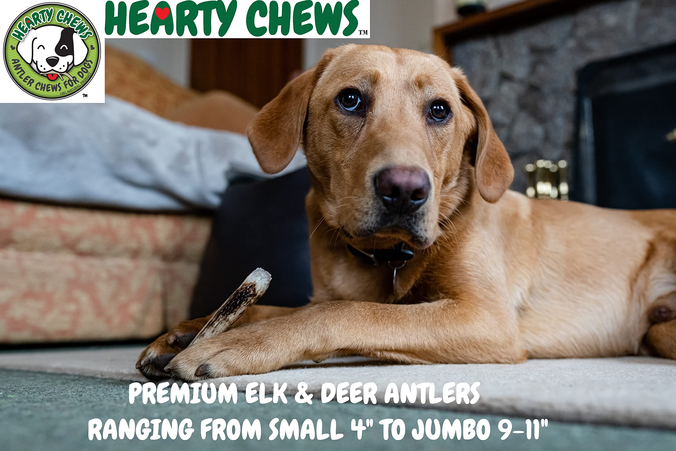 Premium Grade A Elk Antler Chews for Dogs - 100% Organic & Natural Dog Treat - Long-Lasting Dental Chew for Puppies & Adult Dogs - Medium Split (5-6 Inches) - Perfect for Teething Relief & Dental Health
