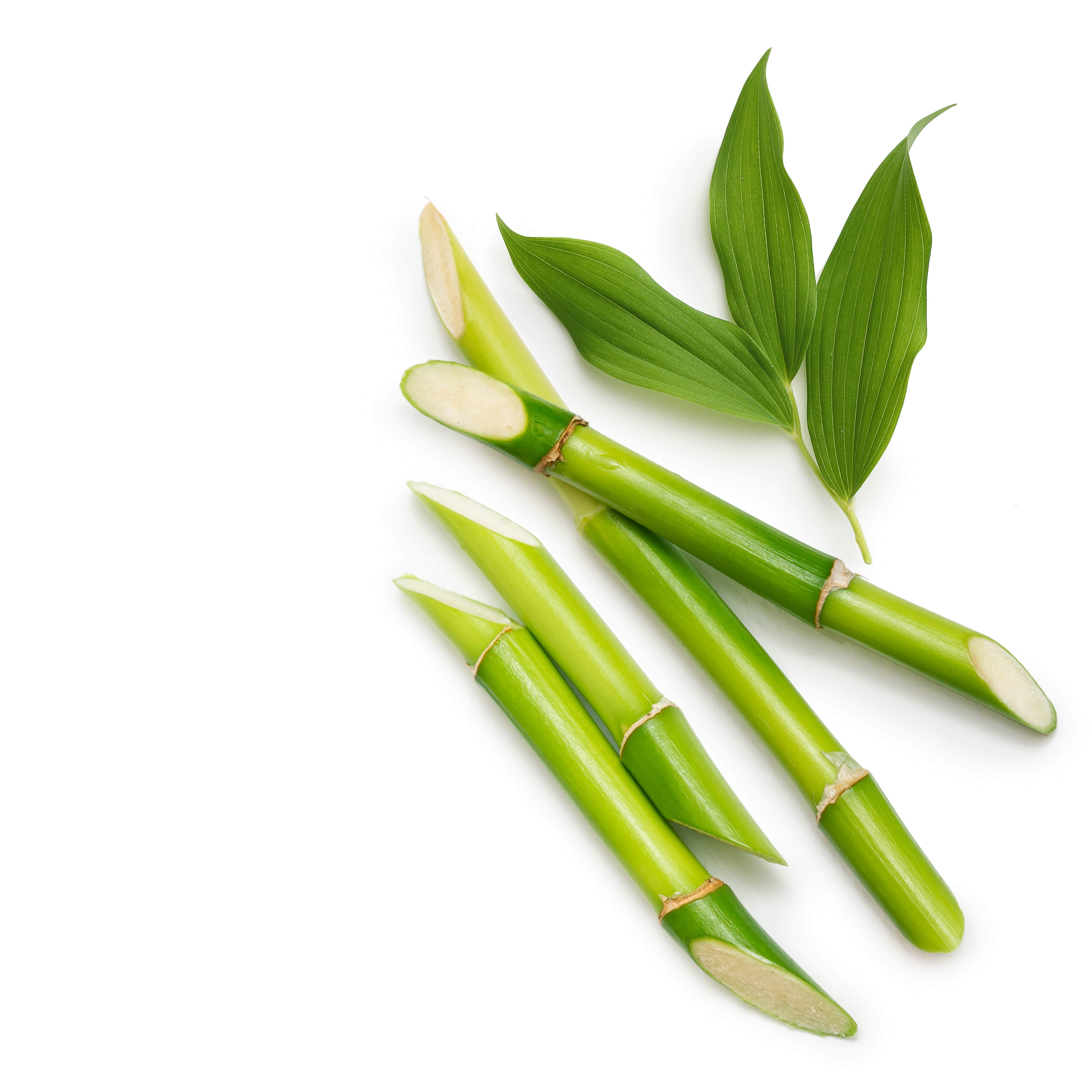 Bamboo Garden Fragrance Oil for Cold Air Diffusers - Premium Essential Oil for Aromatherapy, Home & Office Relaxation