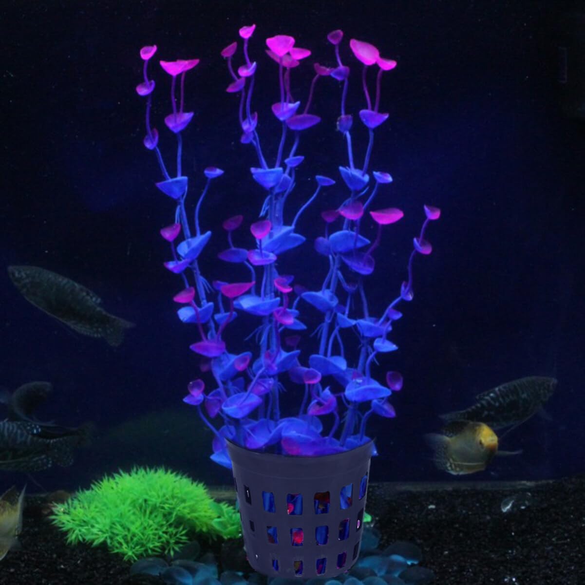 10pcs Plastic Plant Baskets - Water Grass Pots for Home Garden, Flowers, Succulents & Cactus | Indoor/Outdoor Planting & Decoration | Perfect for Hydroponics, Terrariums & DIY Garden Projects