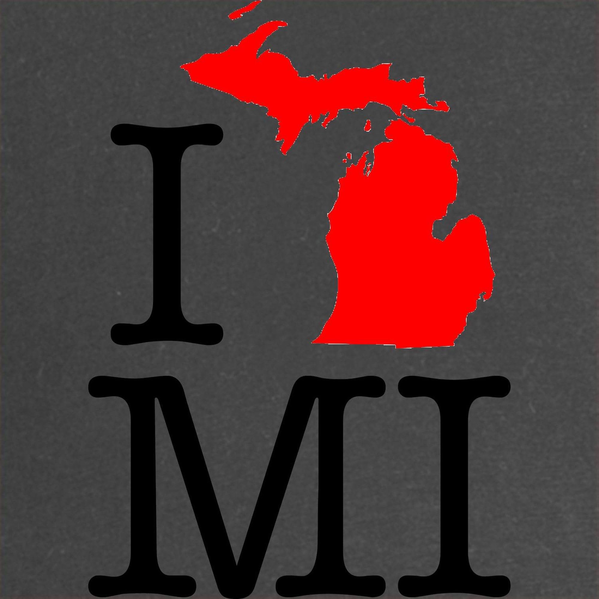 I Love MI Michigan Maternity Dark T-Shirt - Women's Ruched Side Pregnancy Tee for Expecting Moms | Comfortable & Stylish Maternity Wear for Casual Outings & Baby Showers